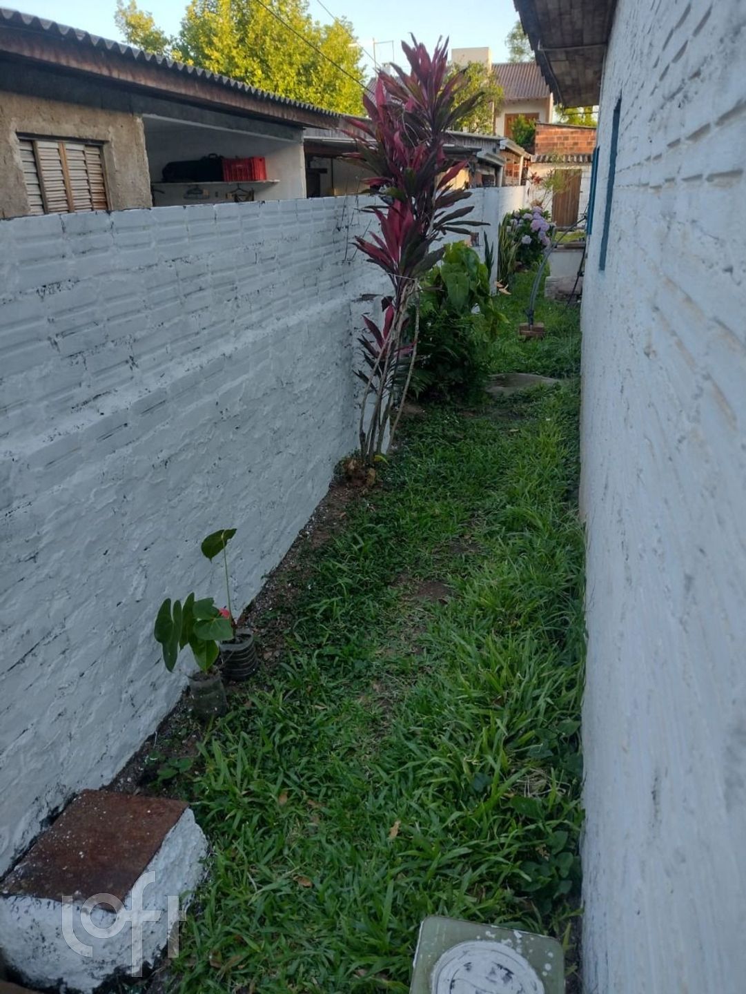 Imagem da propriedade 7