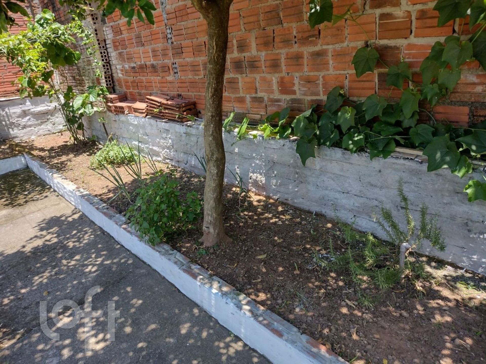 Imagem da propriedade 8