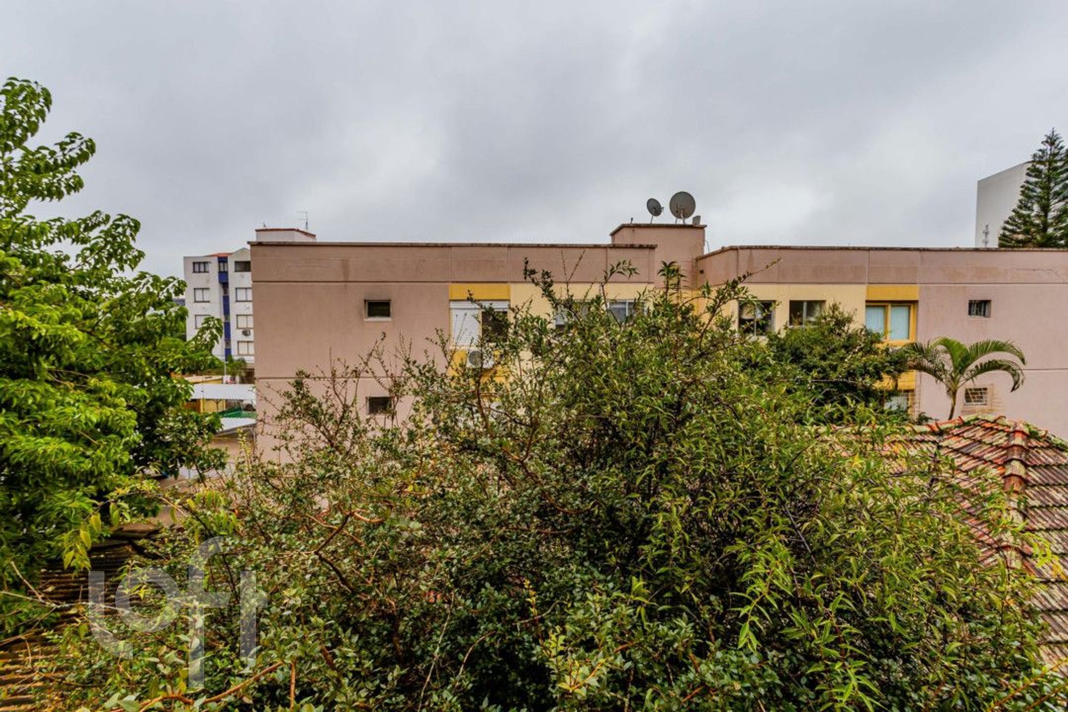 Imagem da propriedade 3