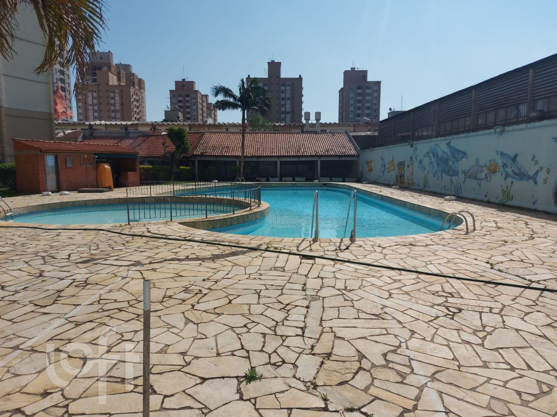 Imagem da propriedade 67