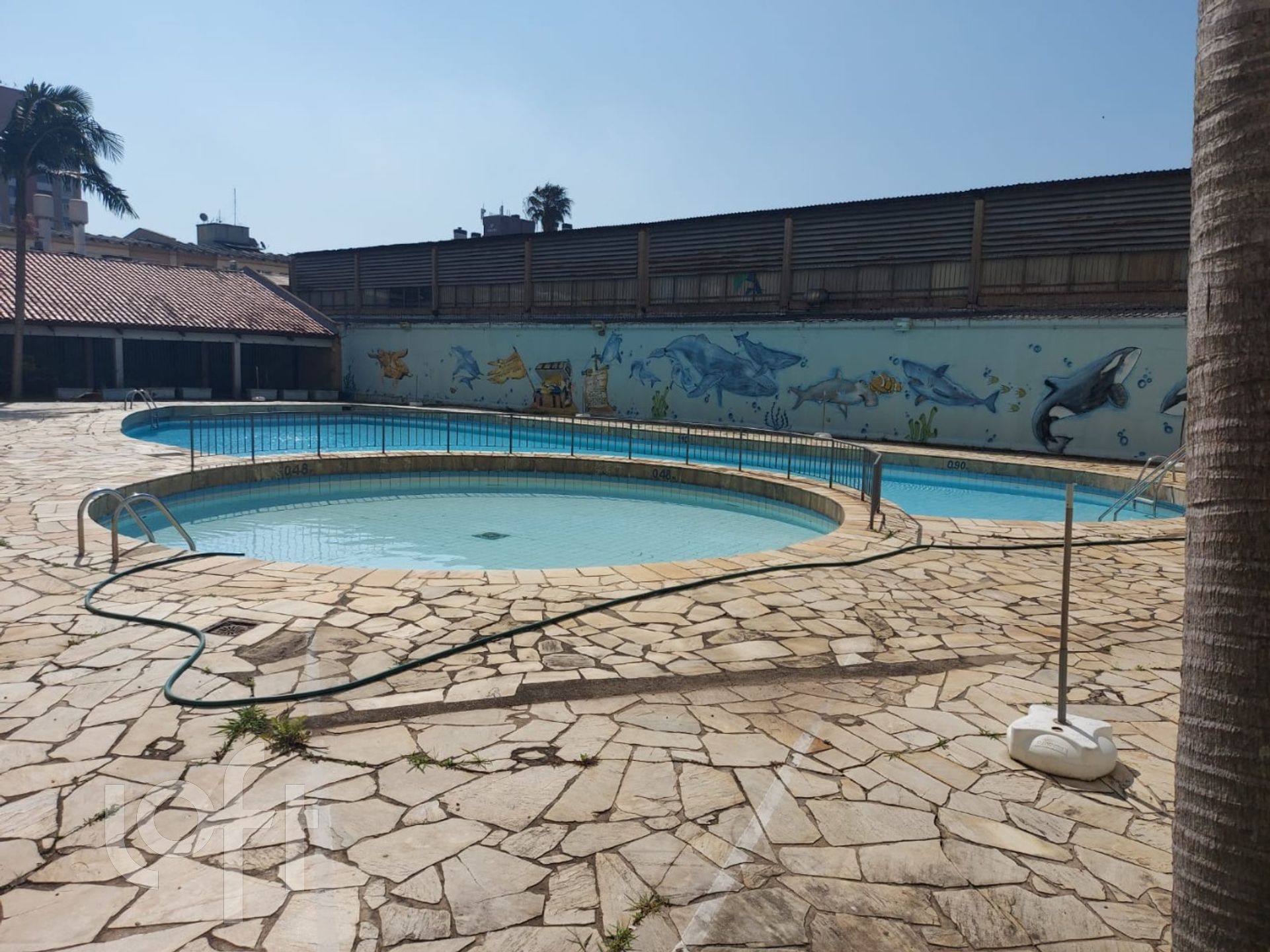 Imagem da propriedade 66