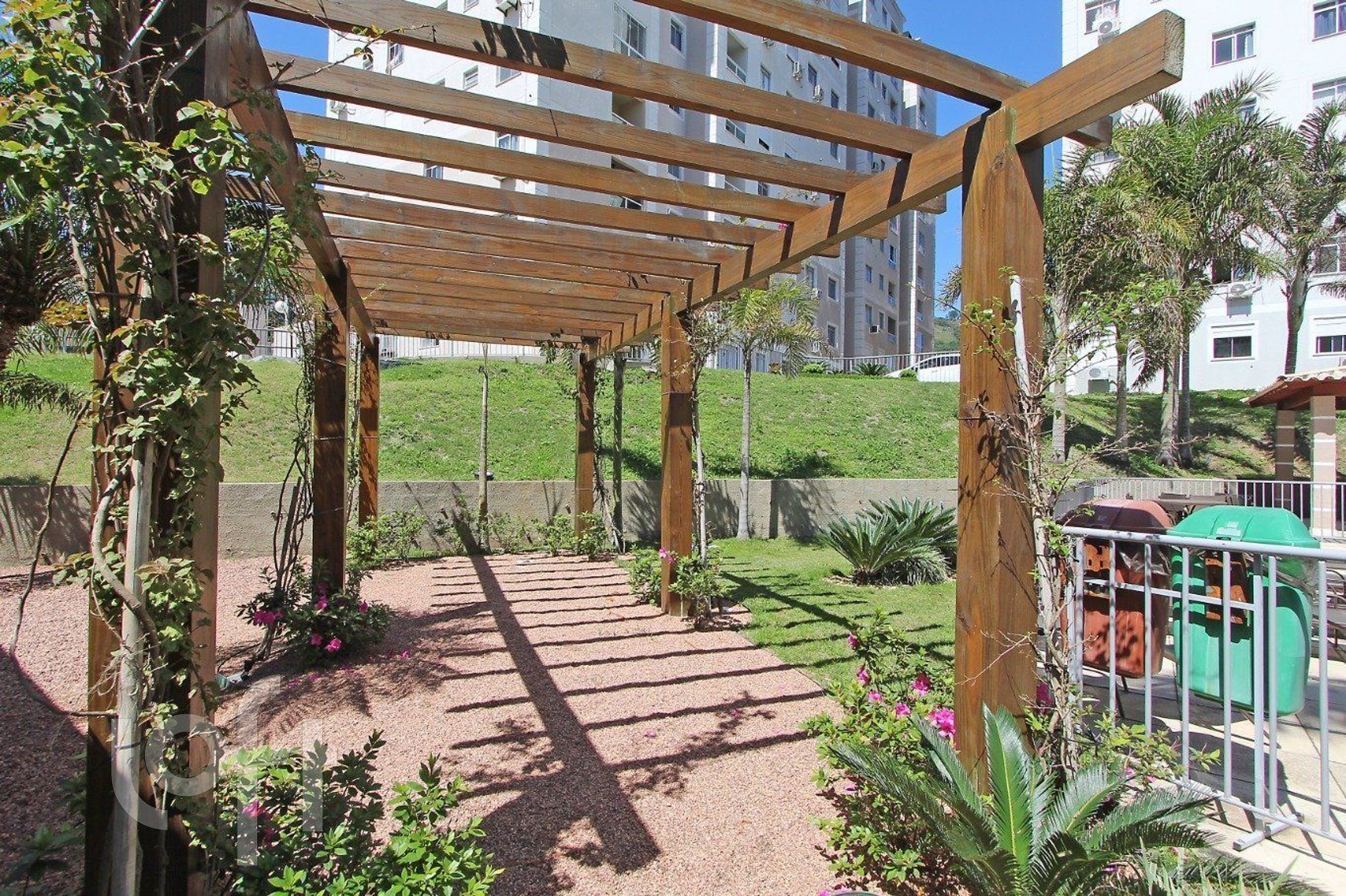 Imagem da propriedade 25