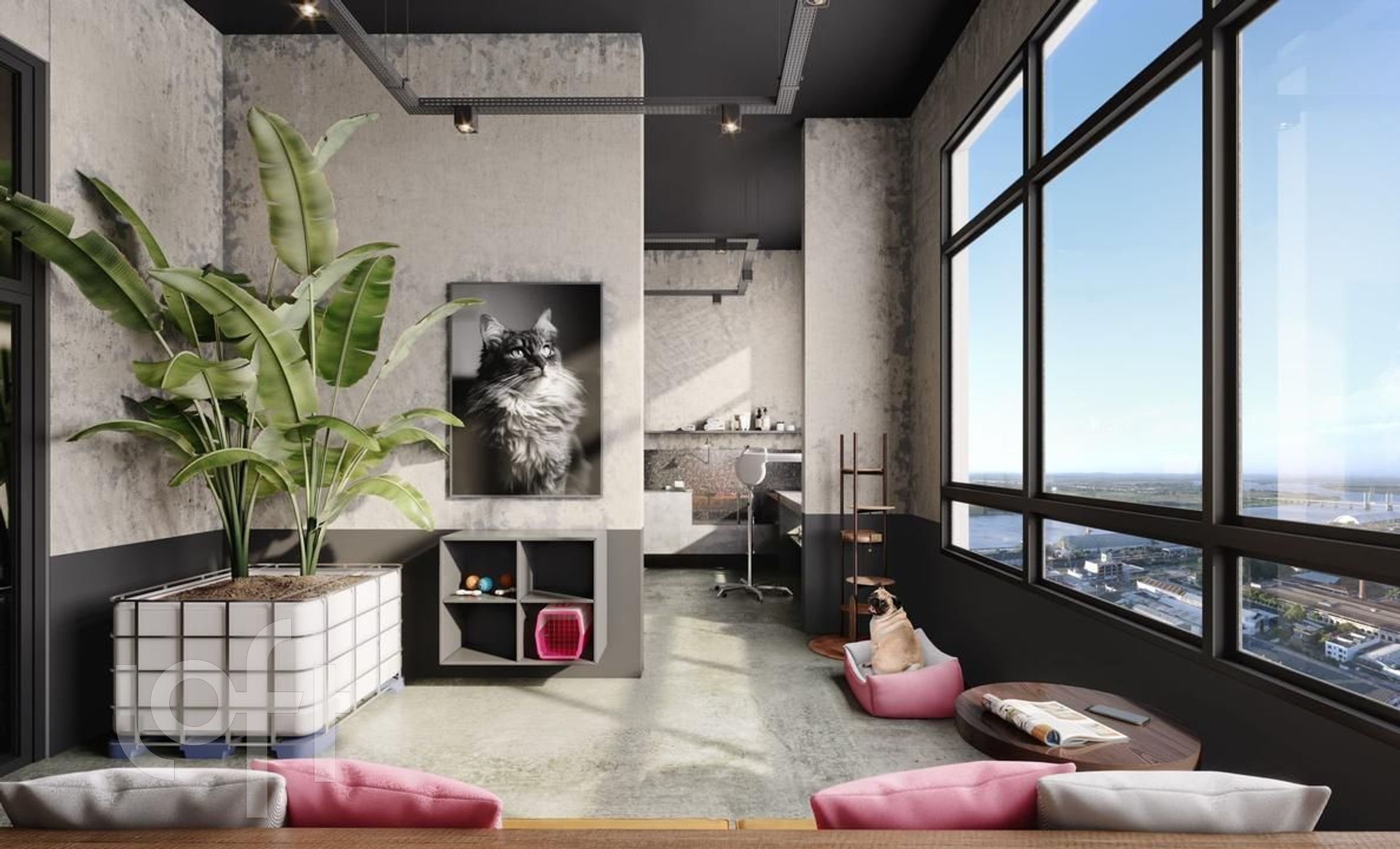 Imagem da propriedade 19