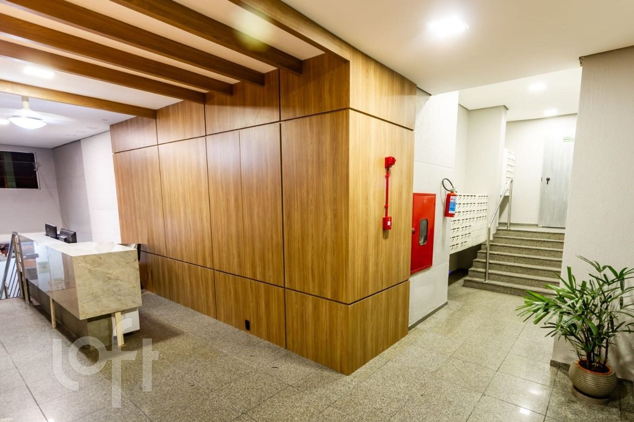 Imagem da propriedade 19