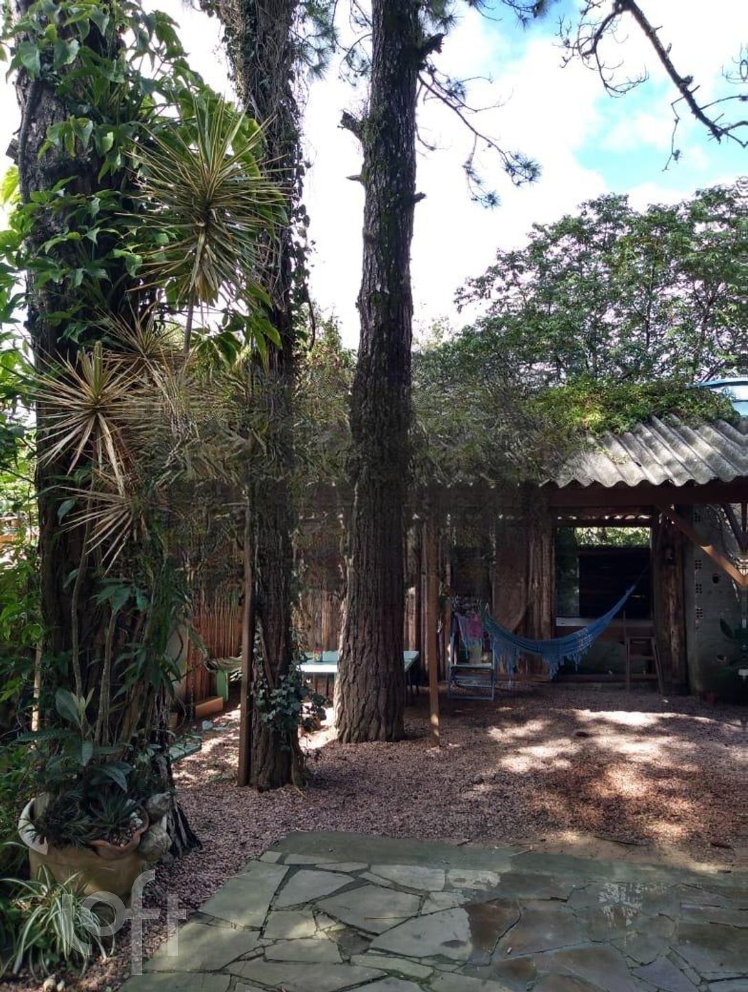 Imagem da propriedade 7