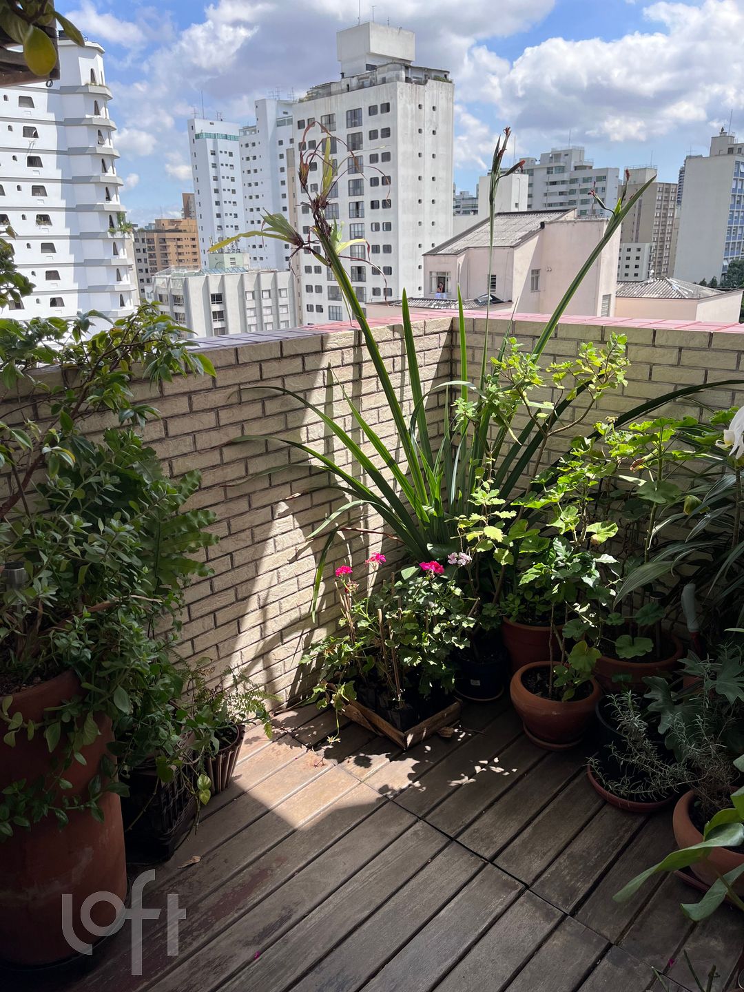 Apartamento à venda com 3 quartos, 74m² - Foto 33