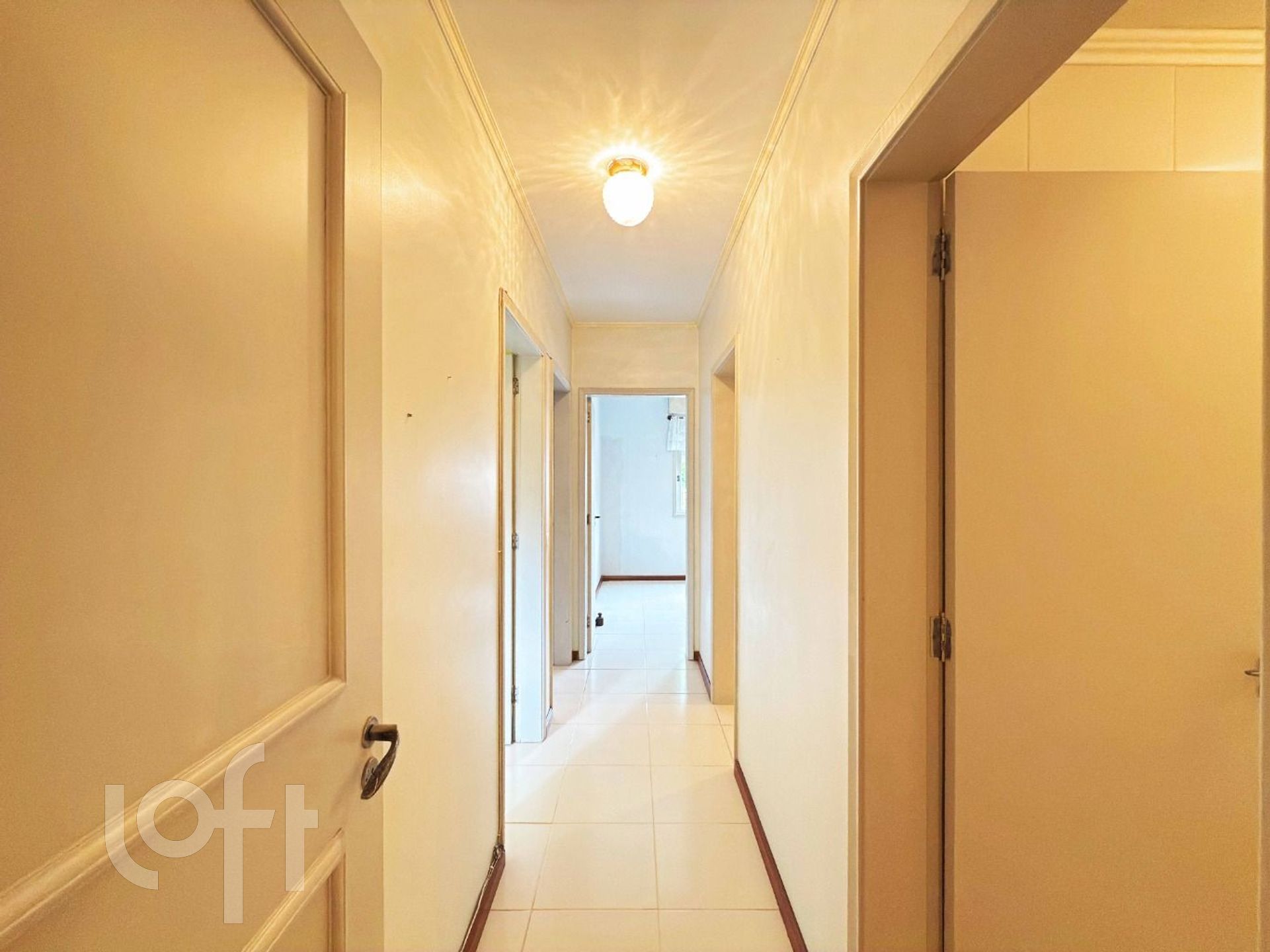 Imagem da propriedade 11