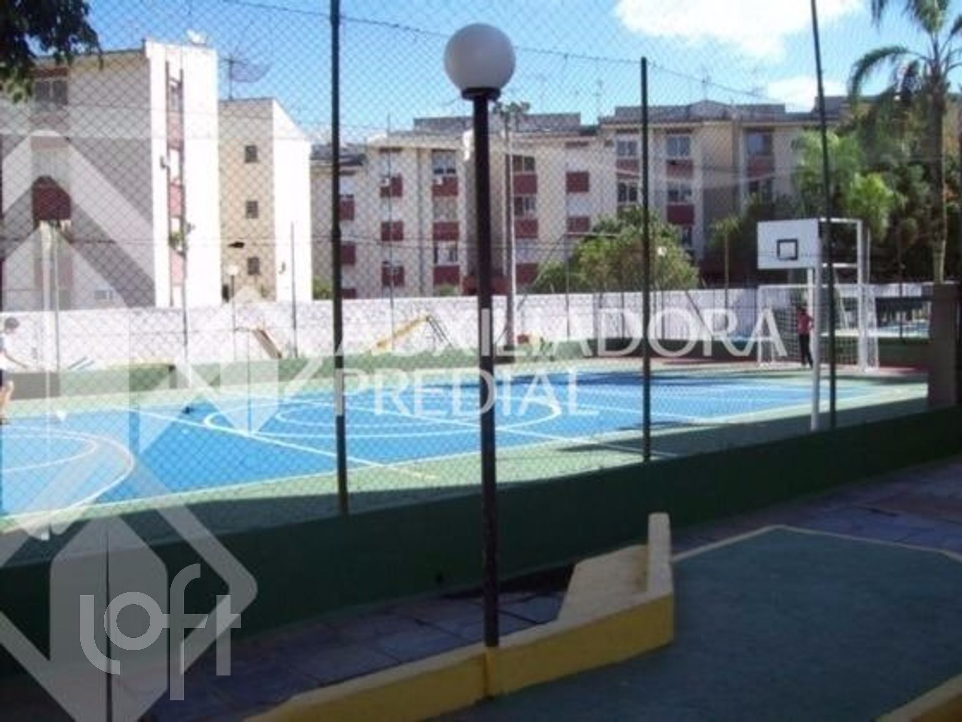 Imagem da propriedade 28