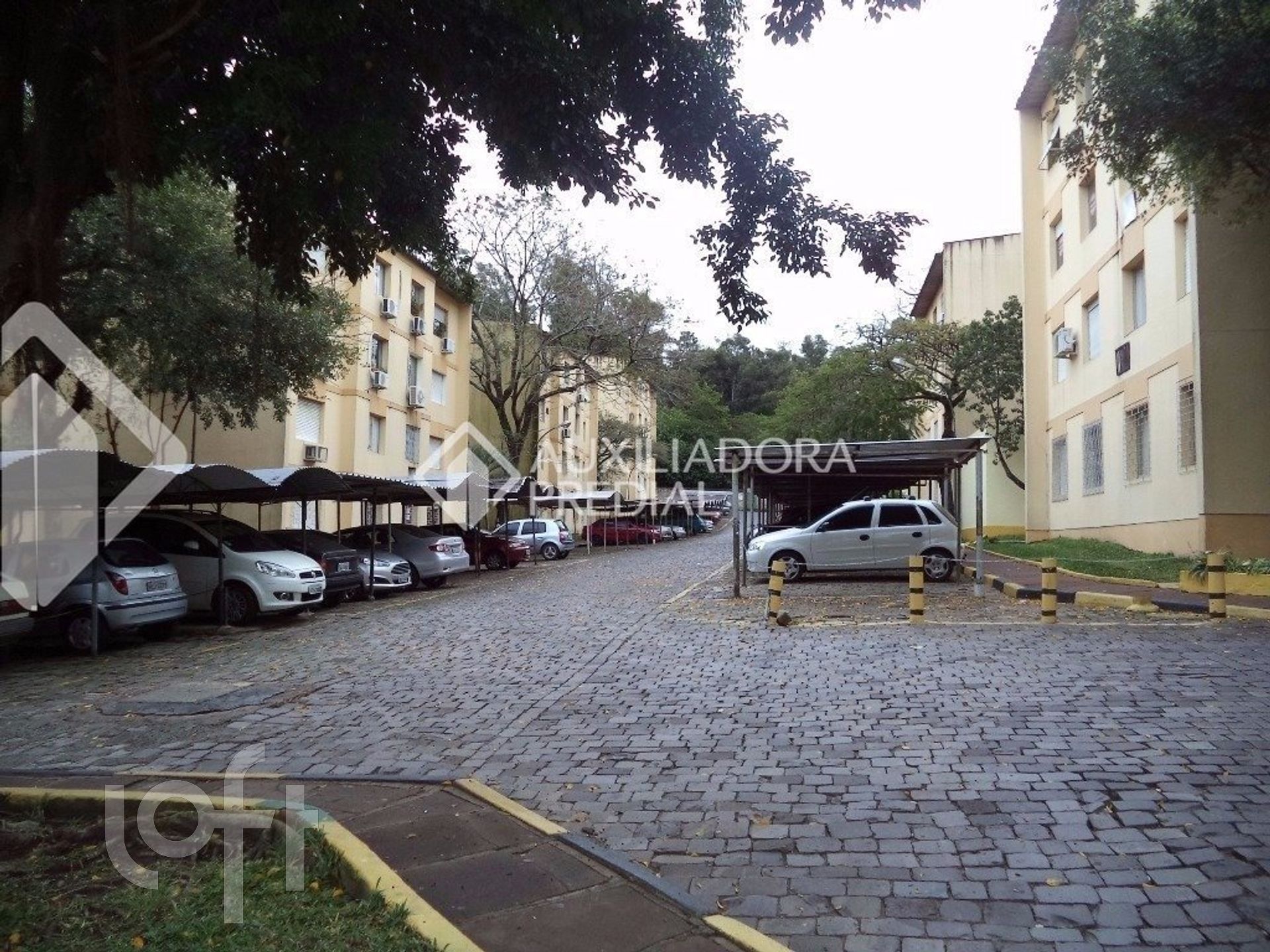 Imagem da propriedade 30