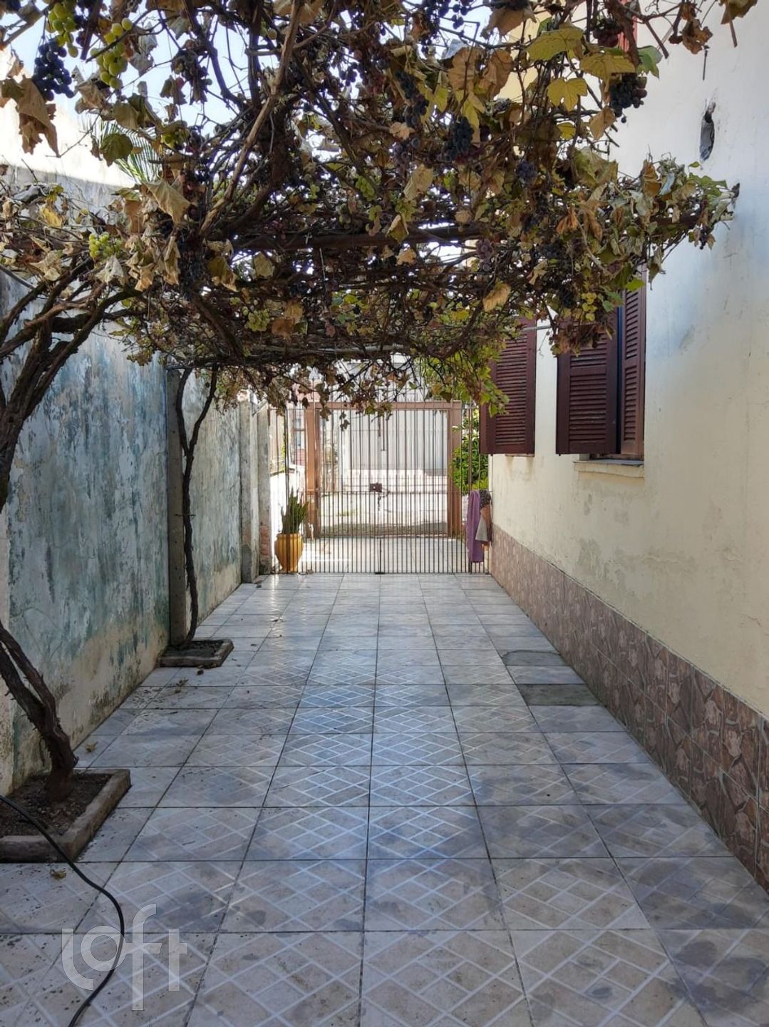 Imagem da propriedade 24