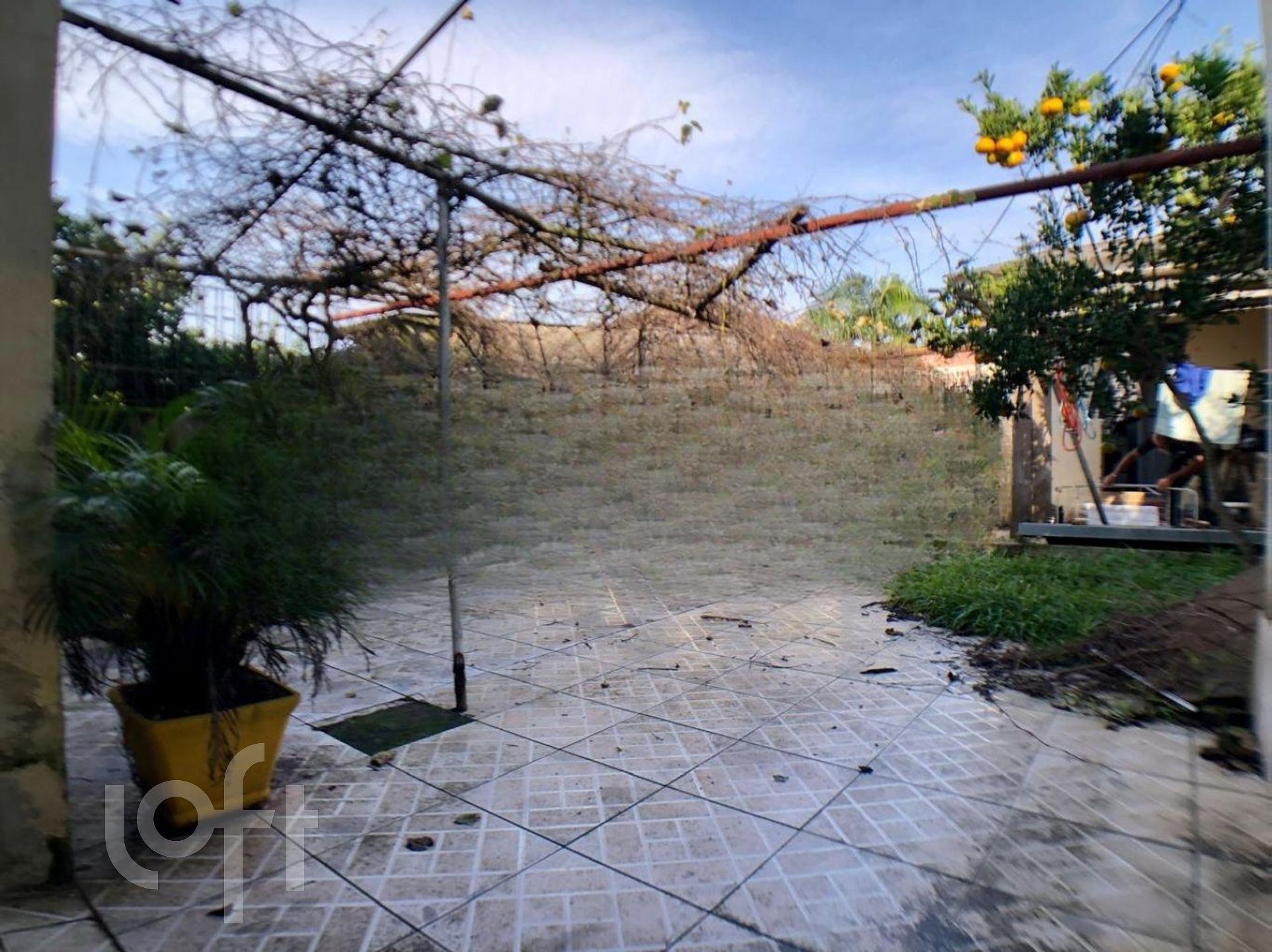 Imagem da propriedade 5