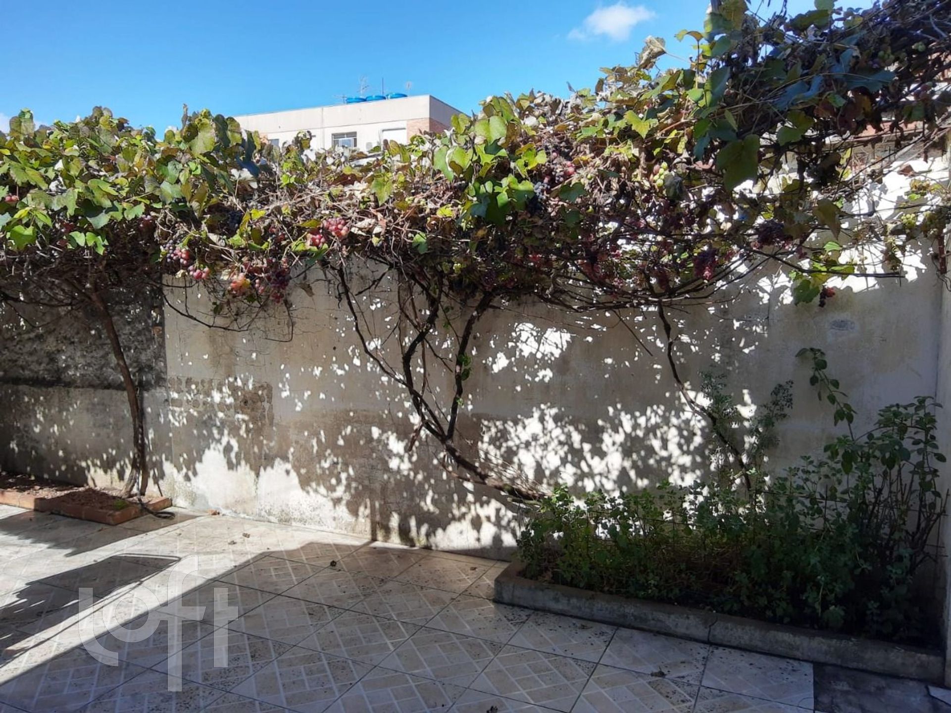 Imagem da propriedade 27