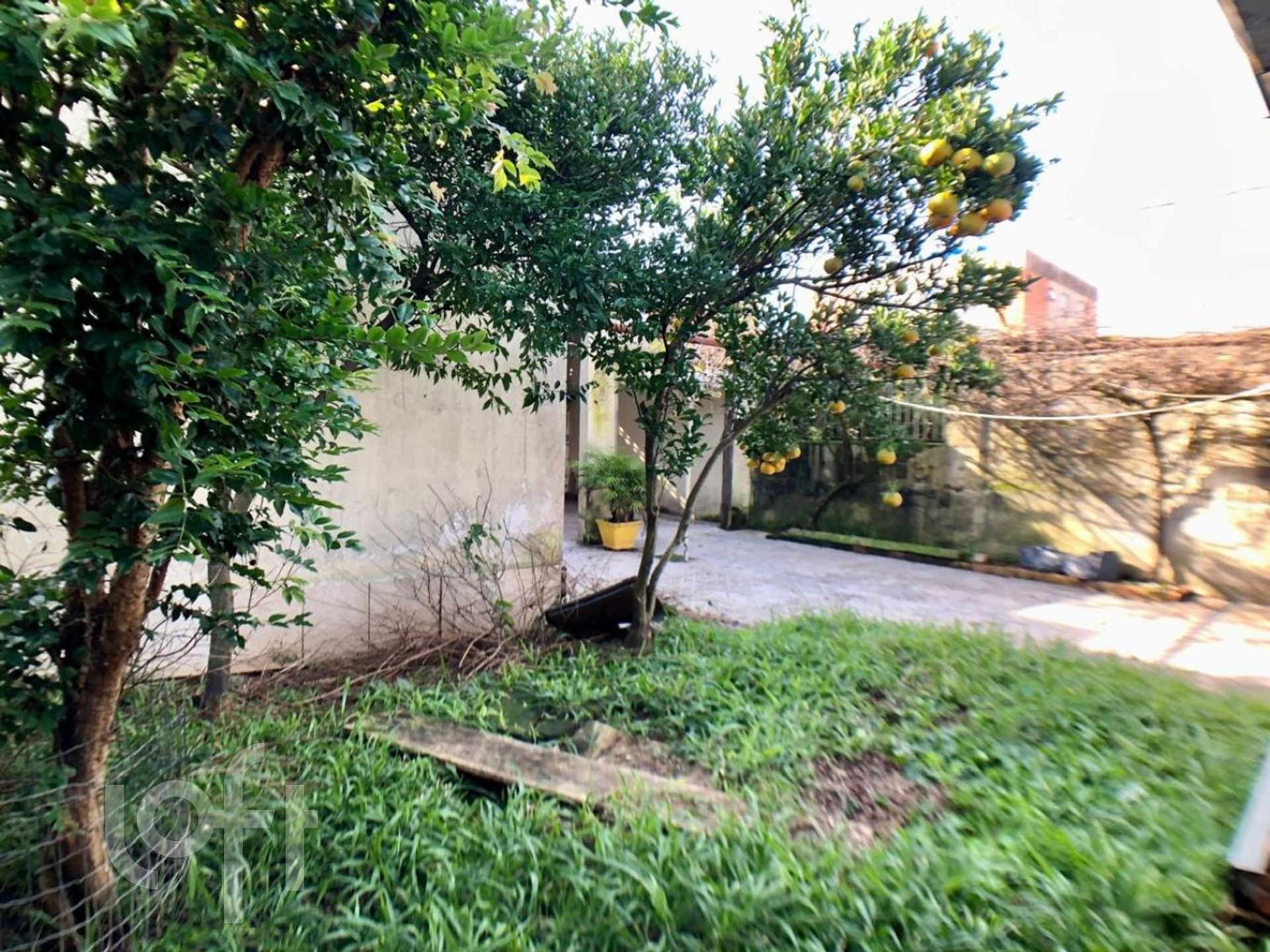 Imagem da propriedade 3