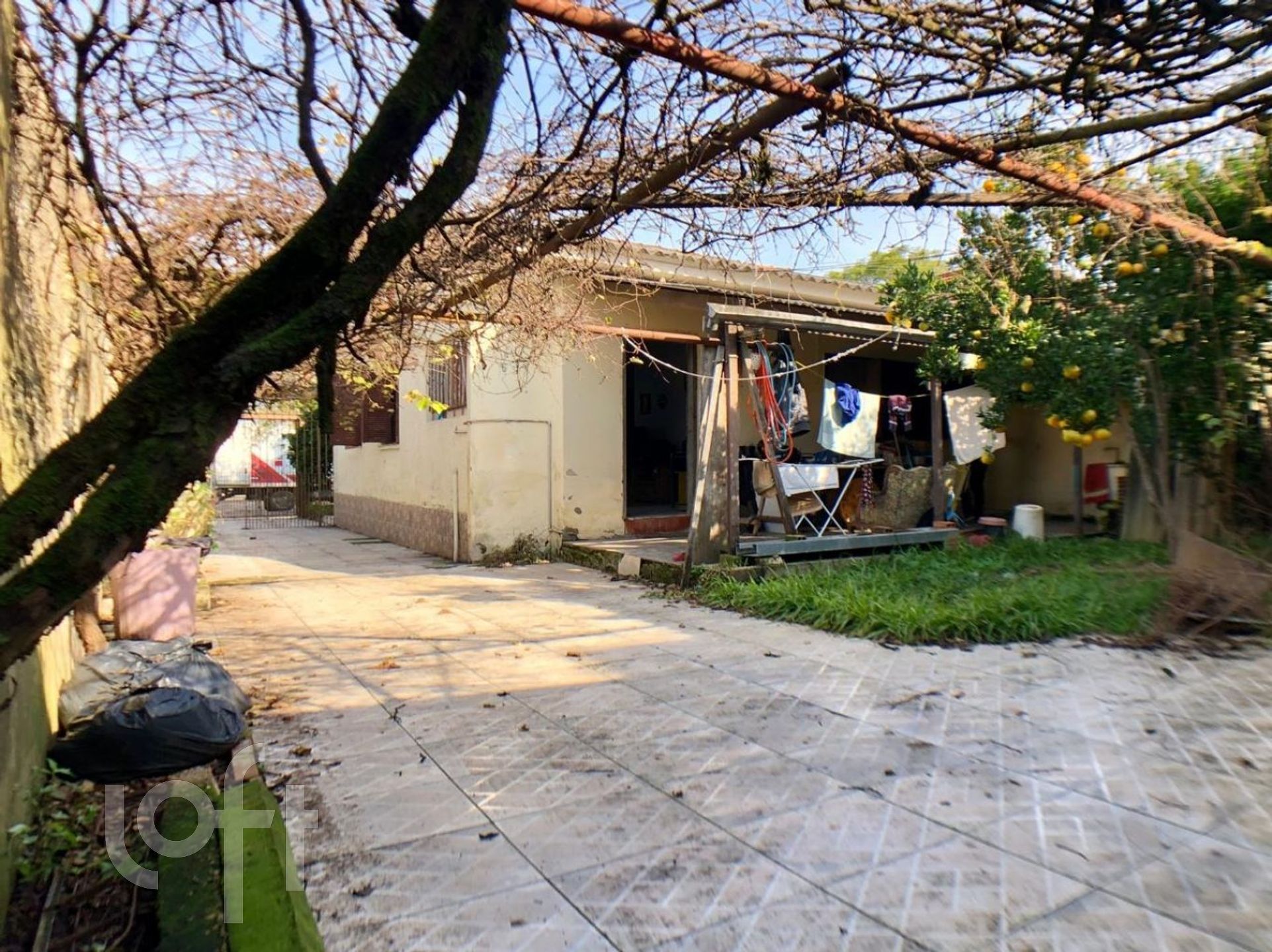 Imagem da propriedade 16