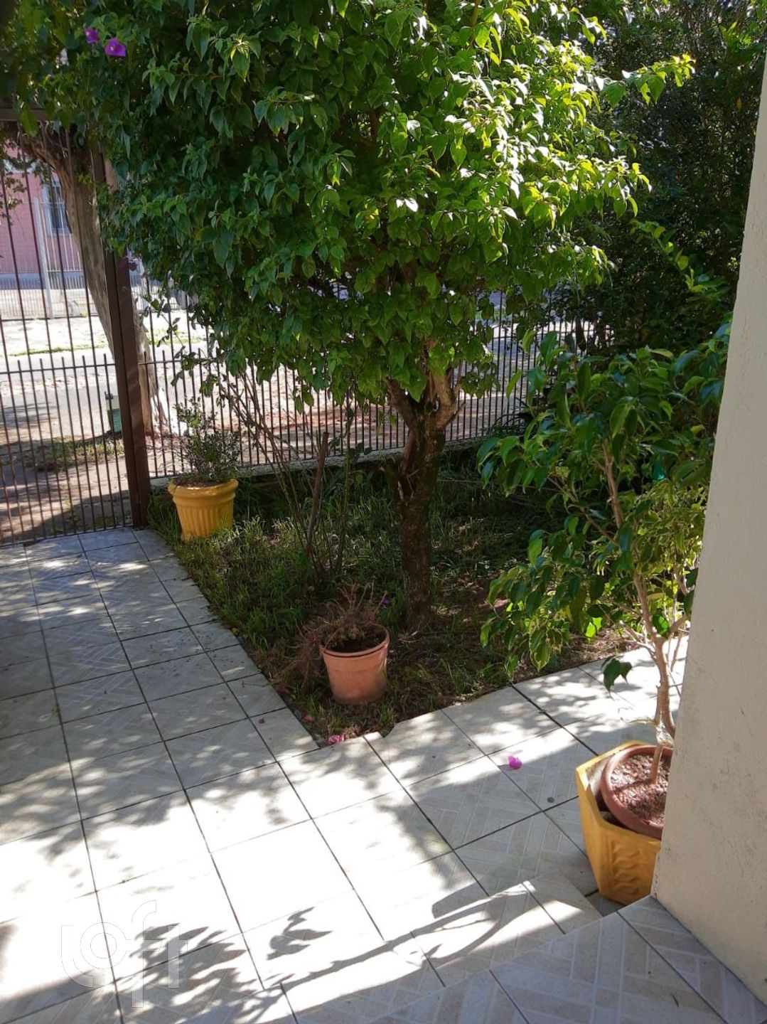 Imagem da propriedade 20