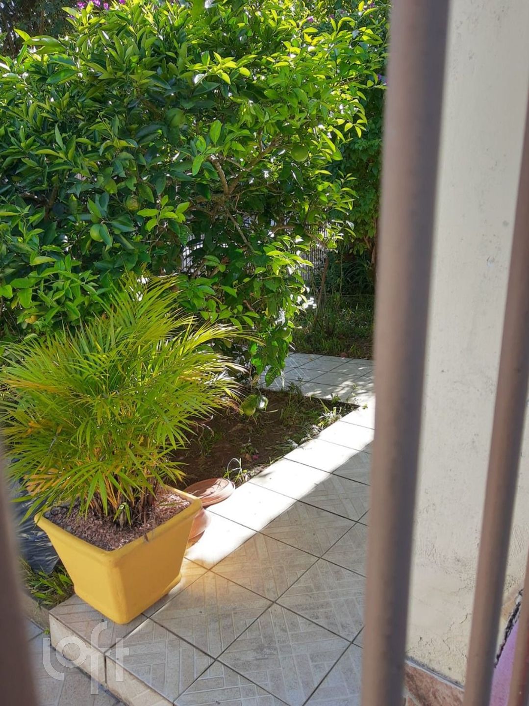 Imagem da propriedade 21