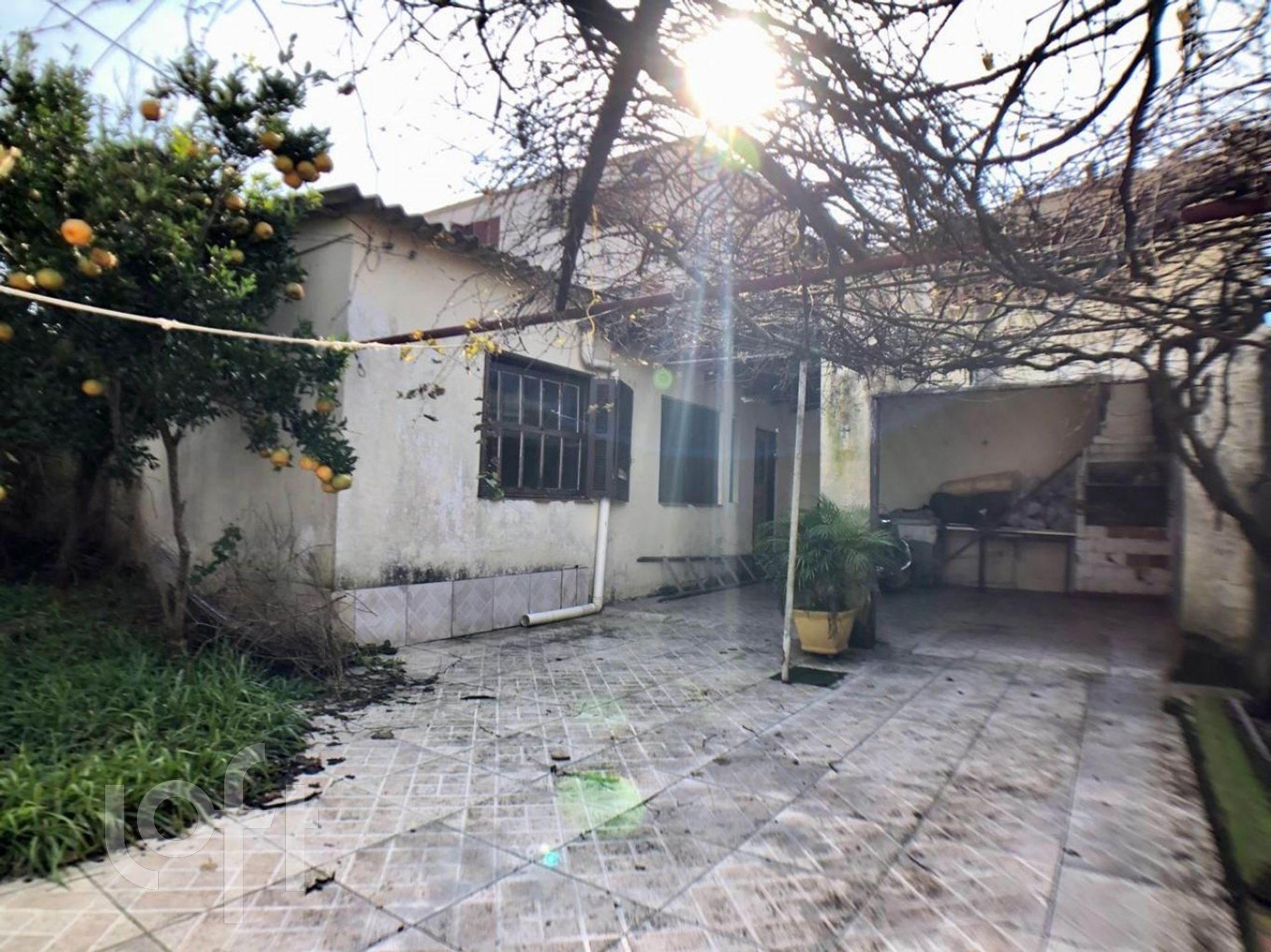 Imagem da propriedade 17