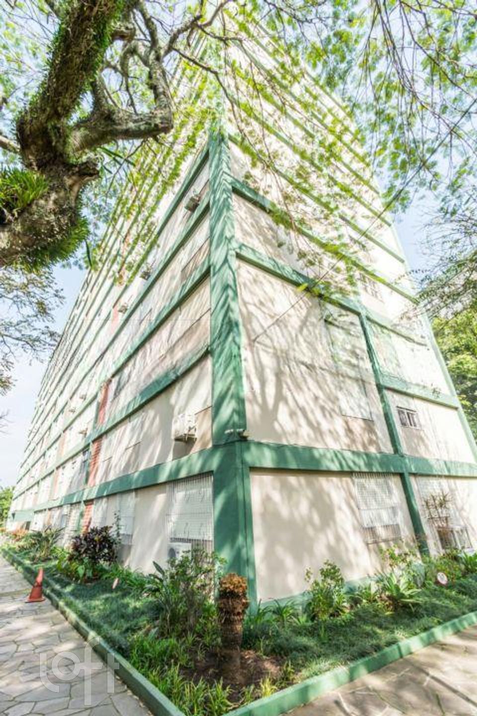 Imagem da propriedade 3