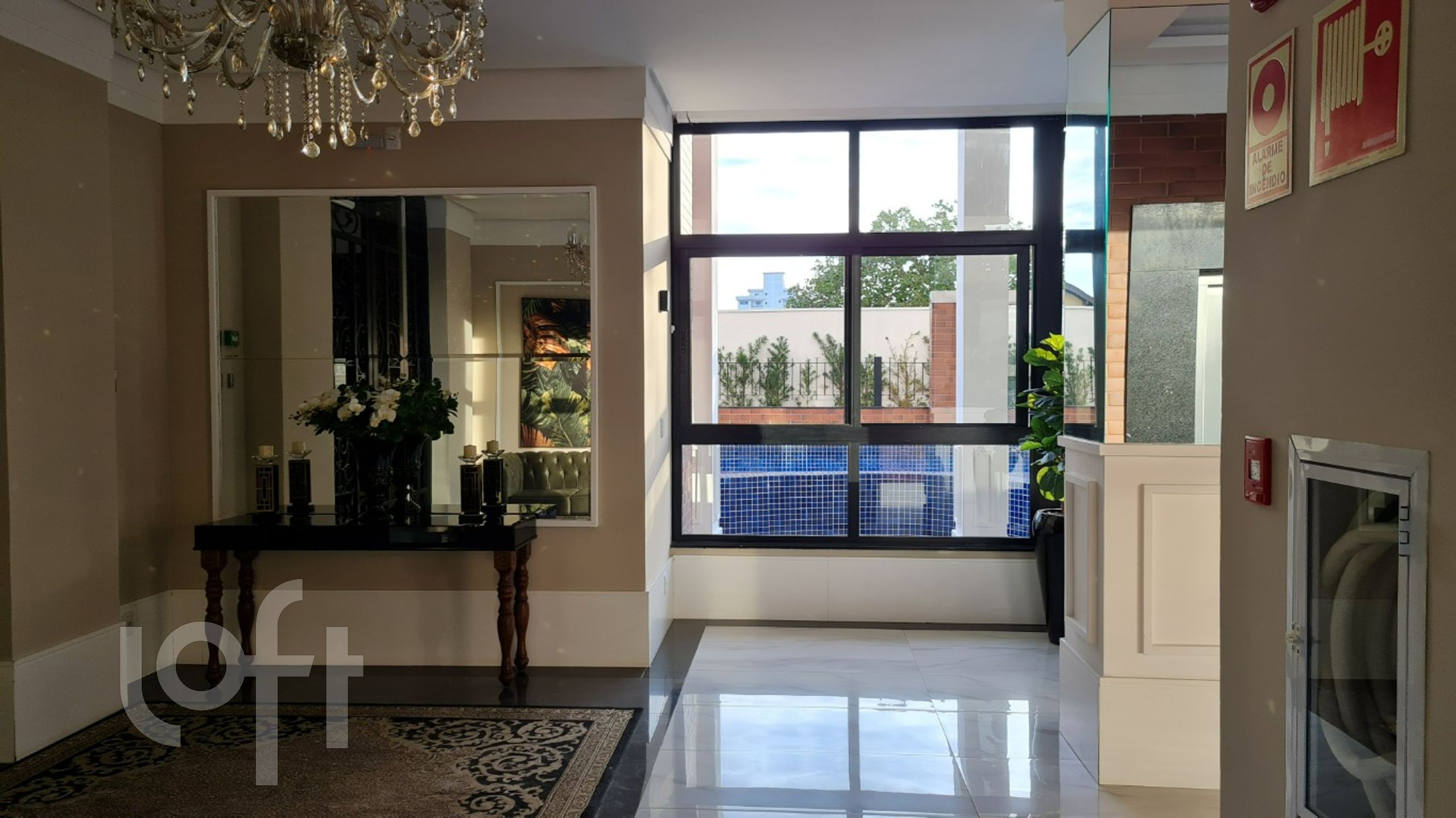 Imagem da propriedade 12