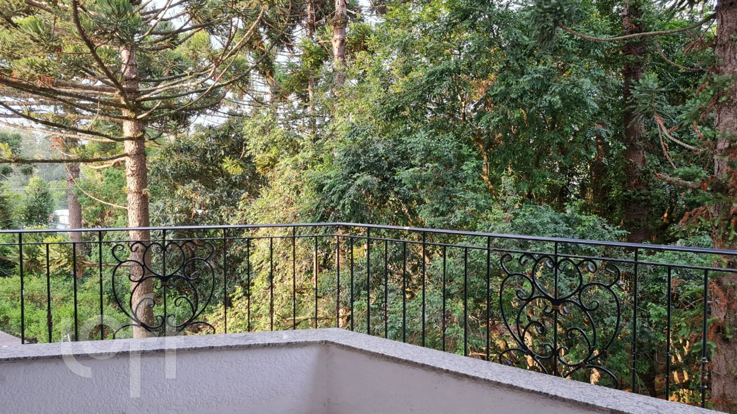 Imagem da propriedade 18