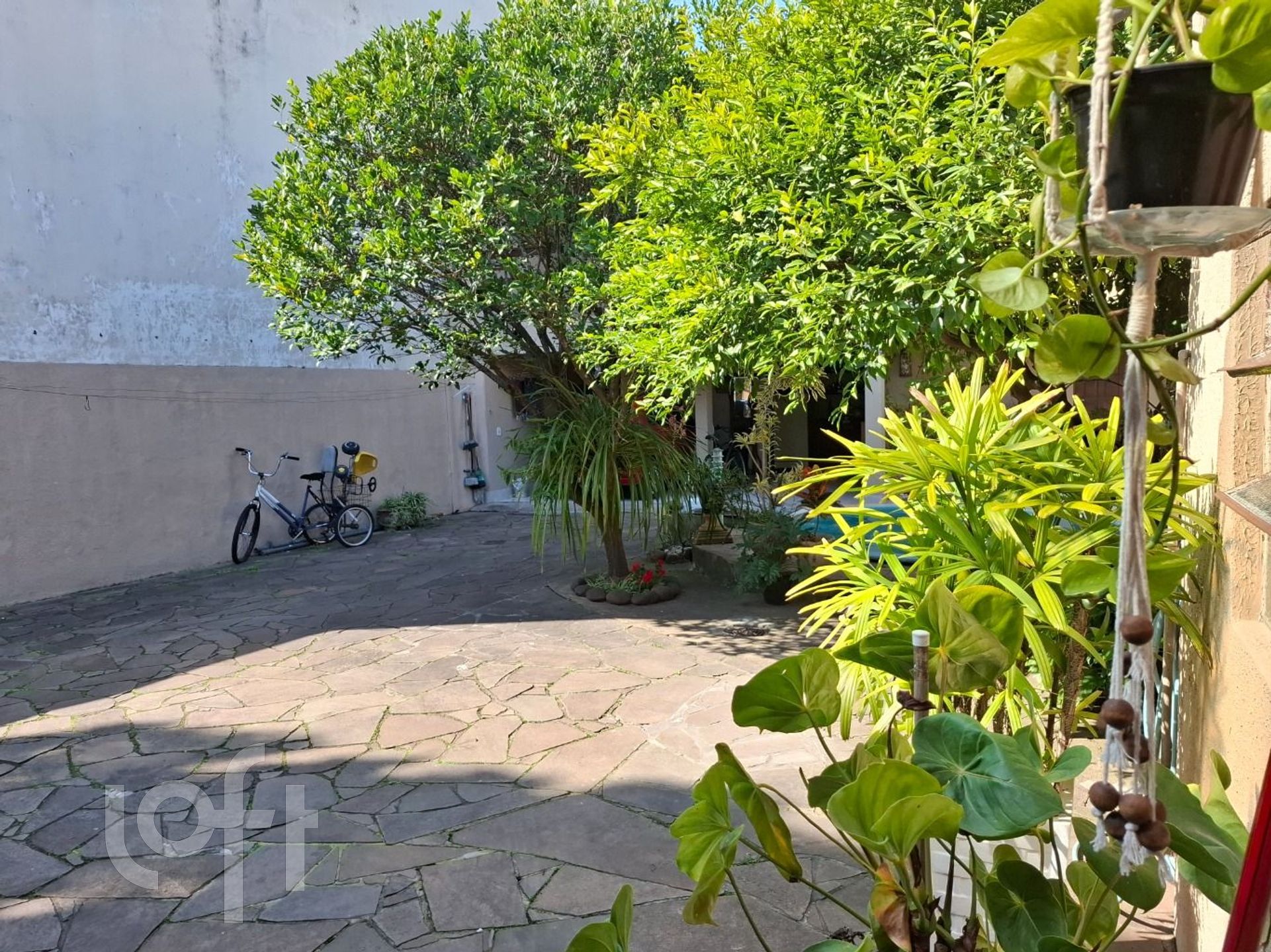 Imagem da propriedade 19