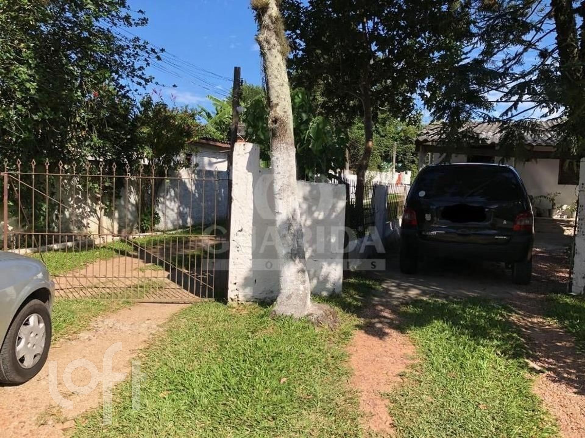 Imagem da propriedade 6