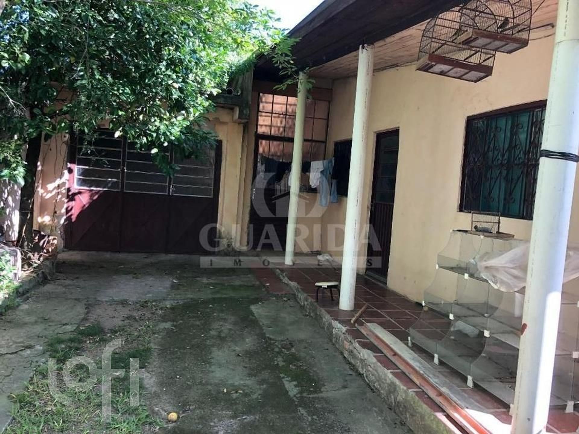 Imagem da propriedade 5