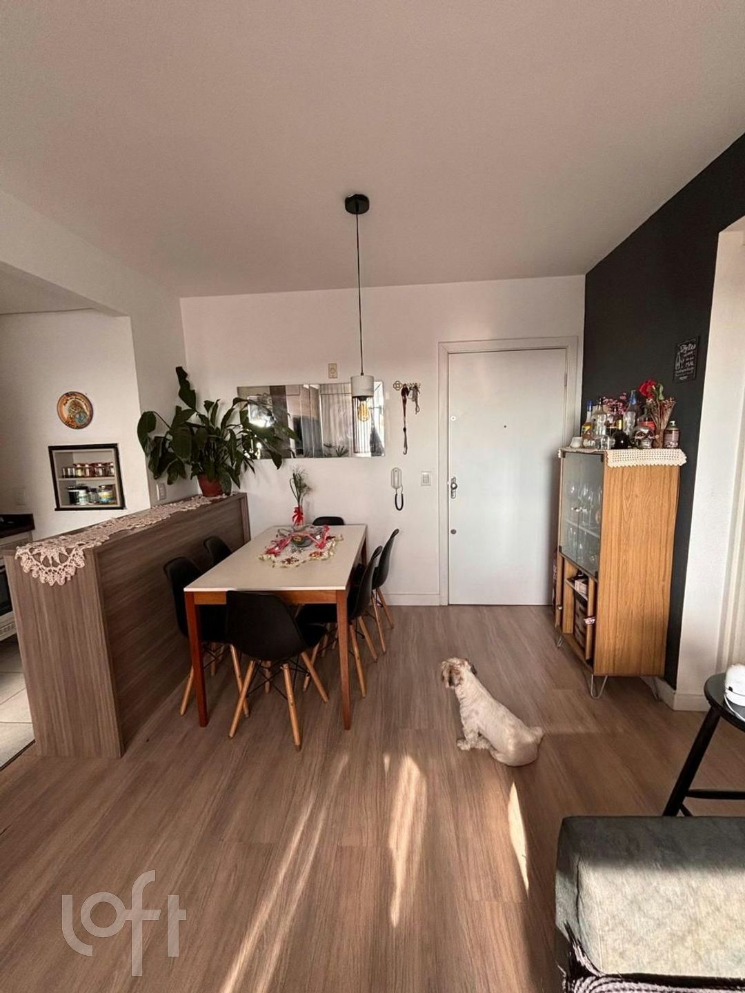 Imagem da propriedade 3