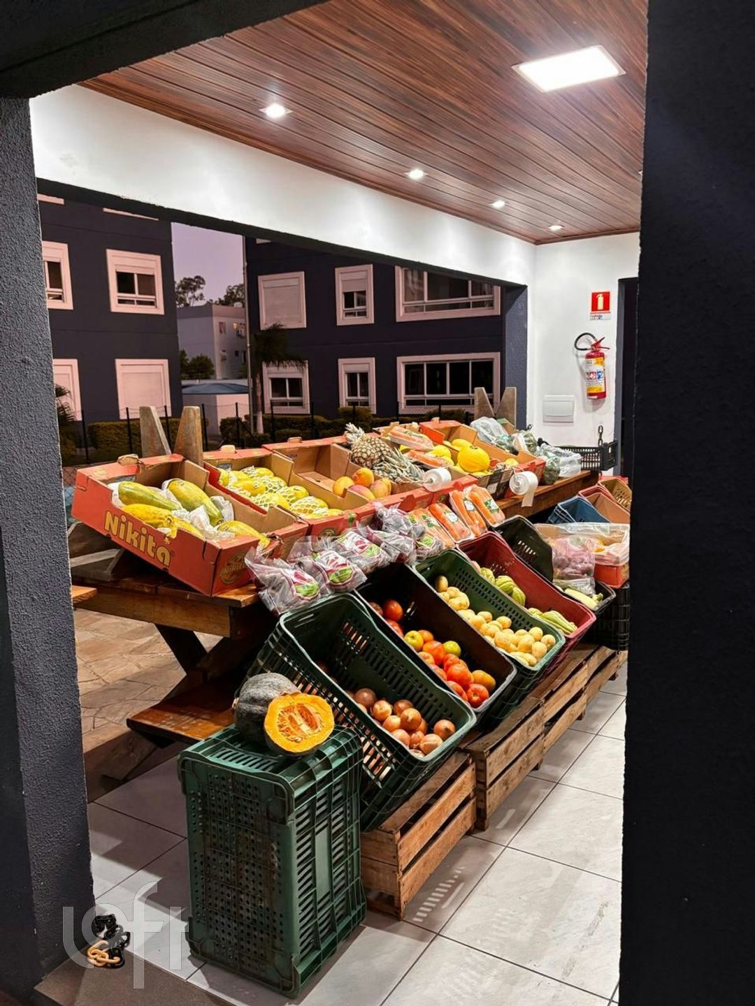 Imagem da propriedade 19