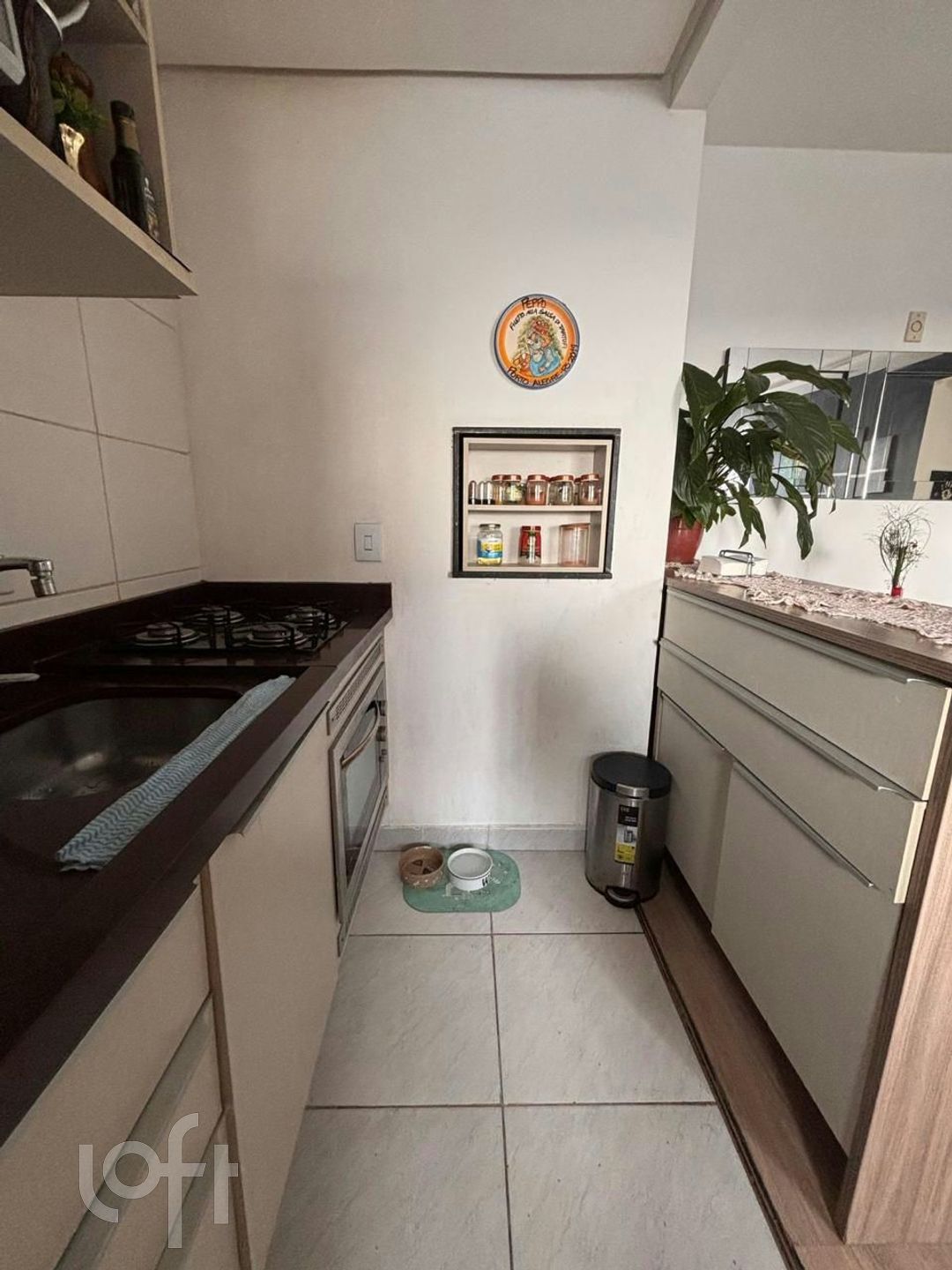 Imagem da propriedade 8