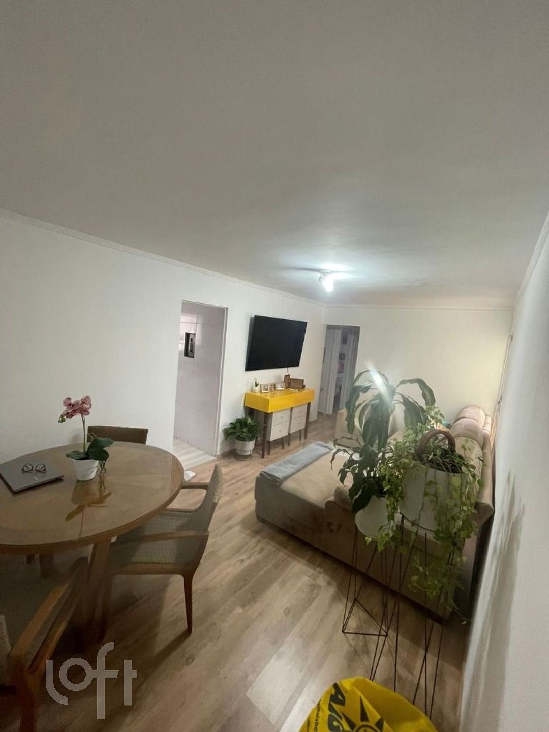 Apartamento à venda com 3 quartos, 62m² - Foto 1