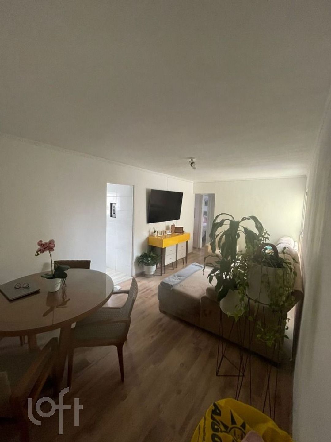 Apartamento à venda com 3 quartos, 62m² - Foto 2