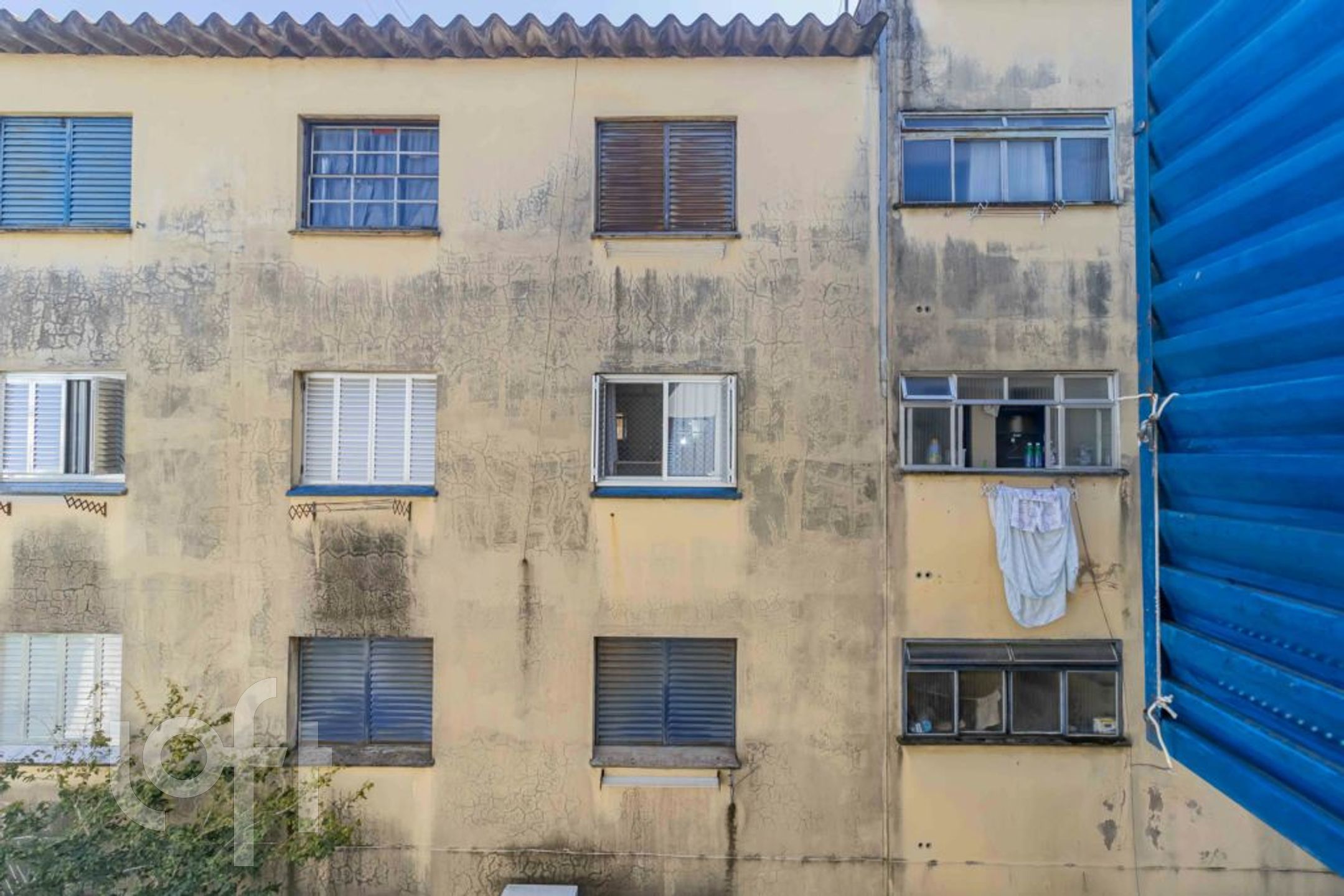 Imagem da propriedade 15