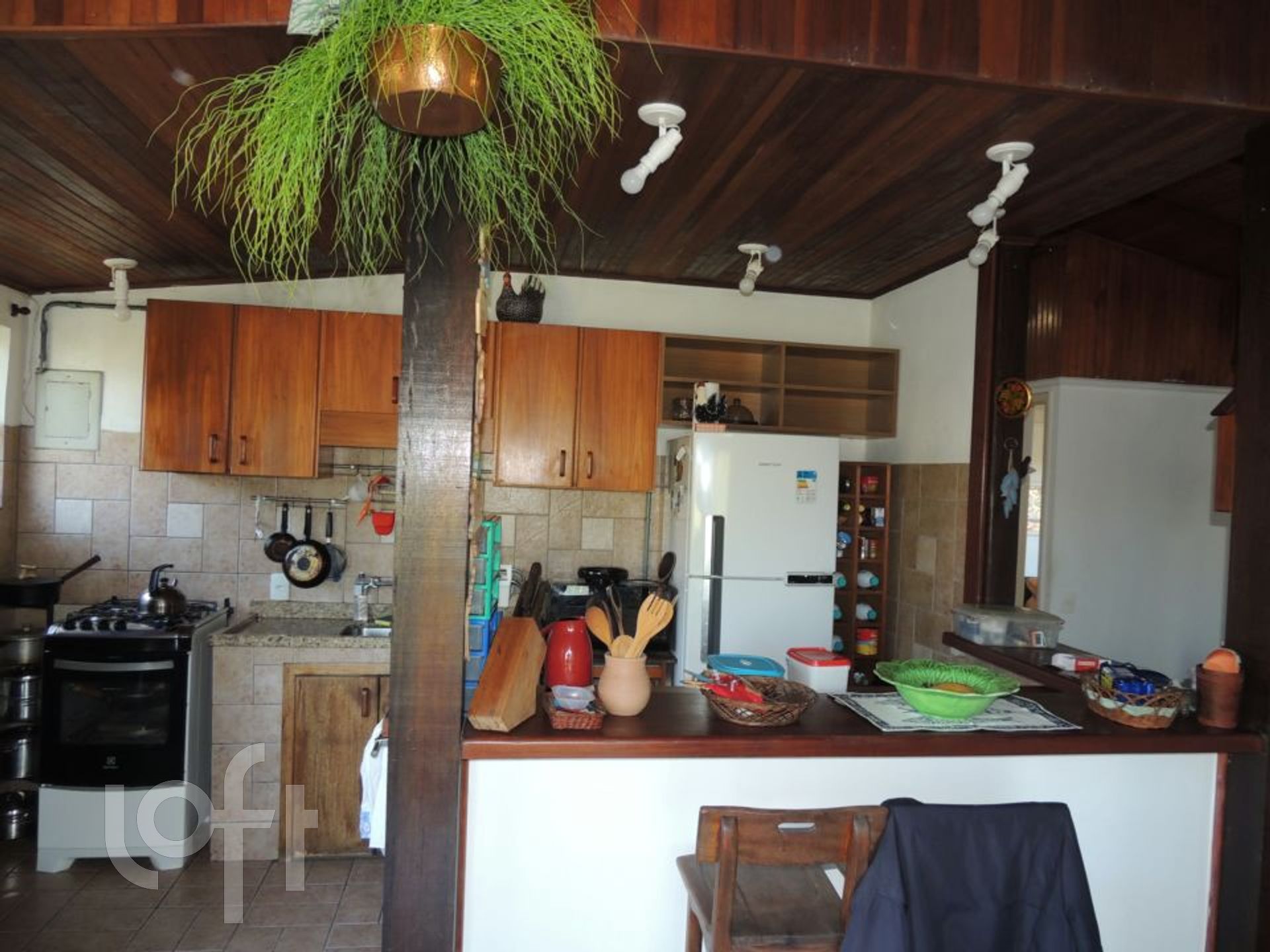 Imagem da propriedade 14