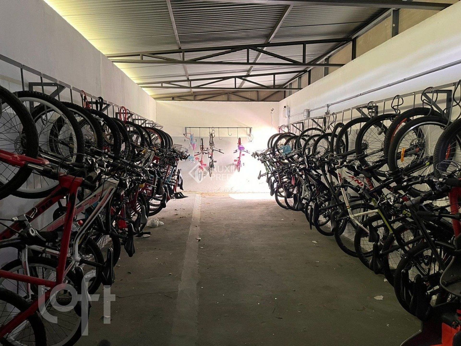 Imagem da propriedade 3