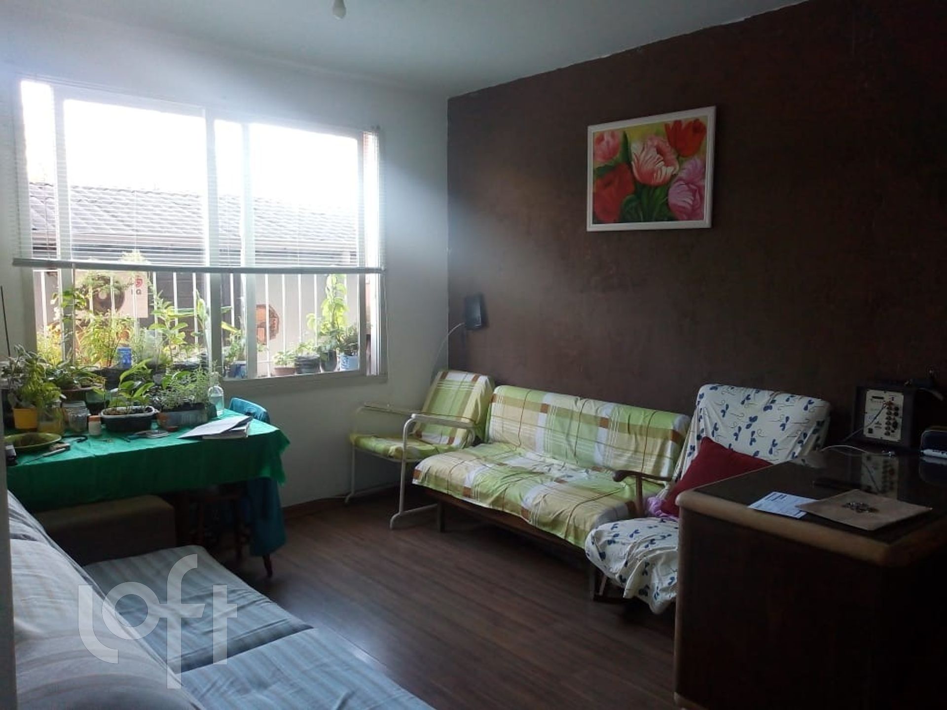 Imagem da propriedade 3