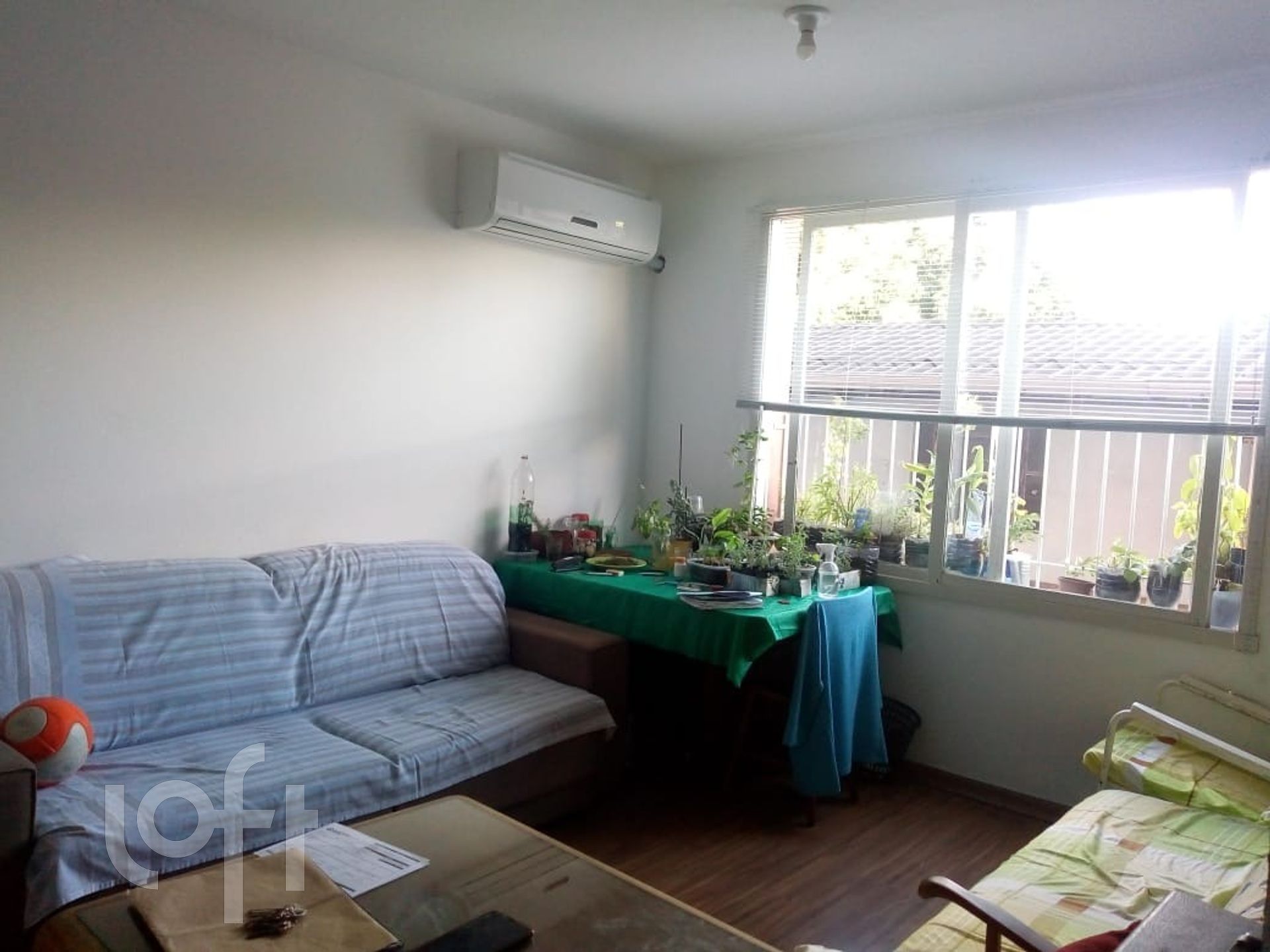 Imagem da propriedade 4