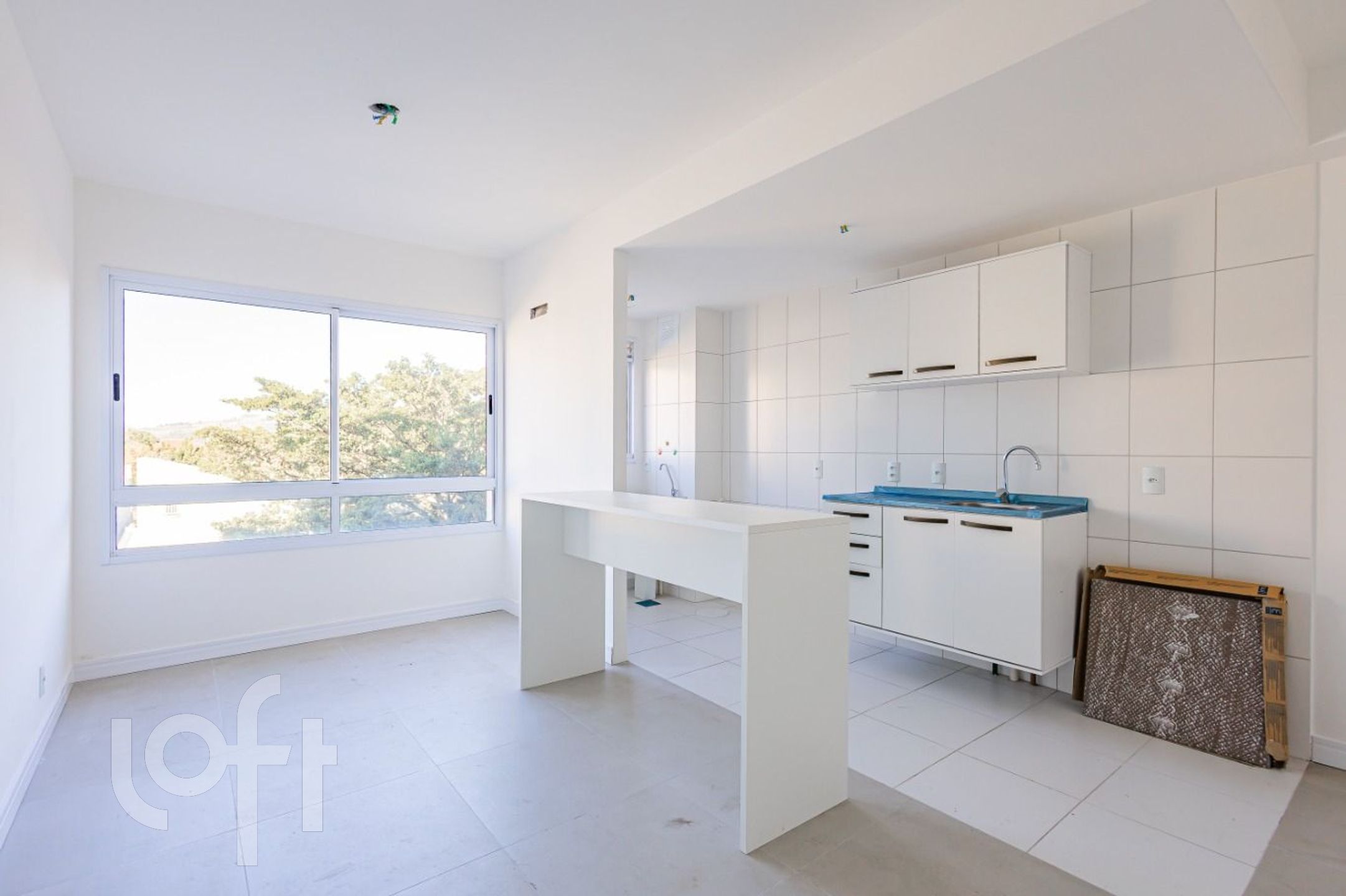 Imagem da propriedade 3