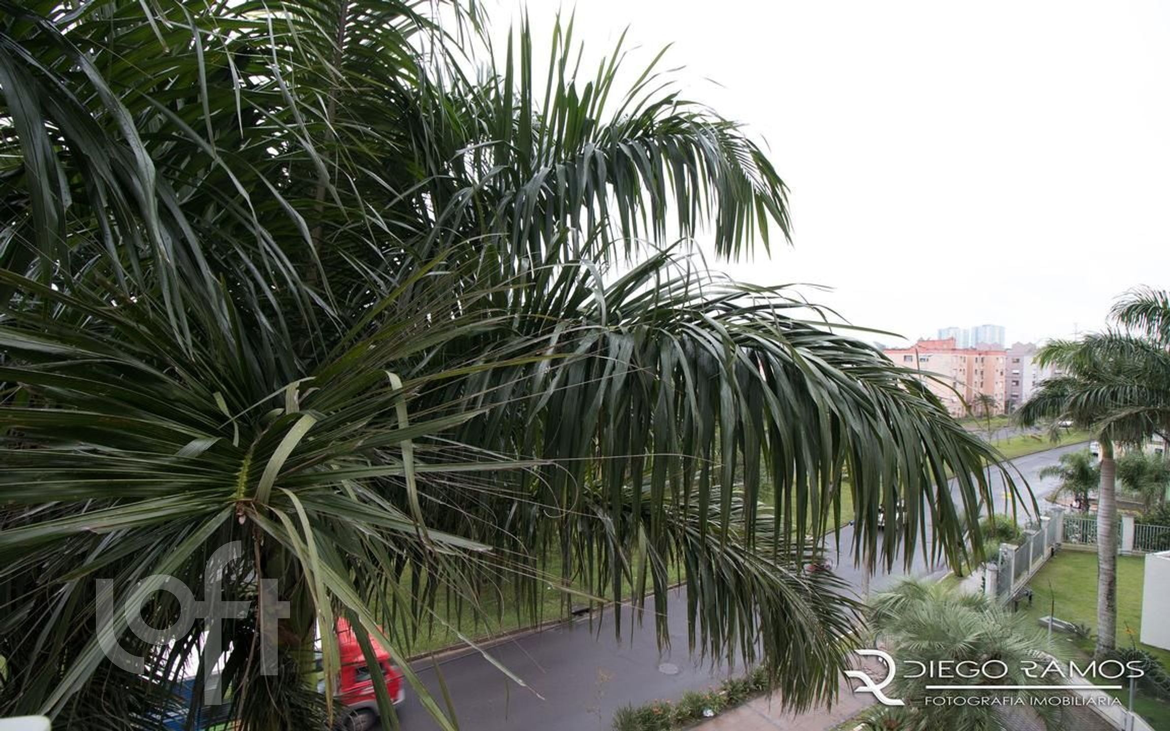 Imagem da propriedade 10