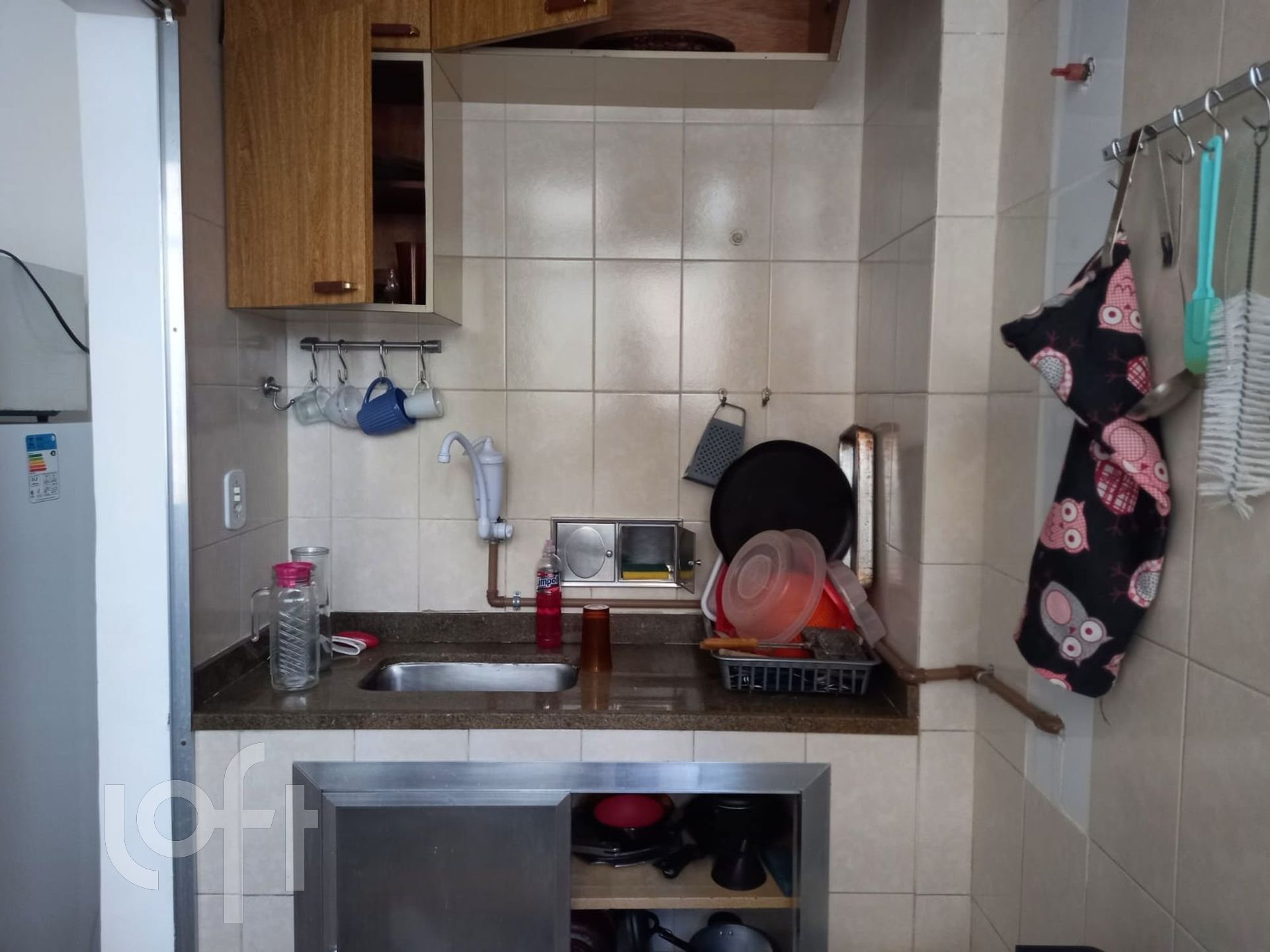 Imagem da propriedade 10