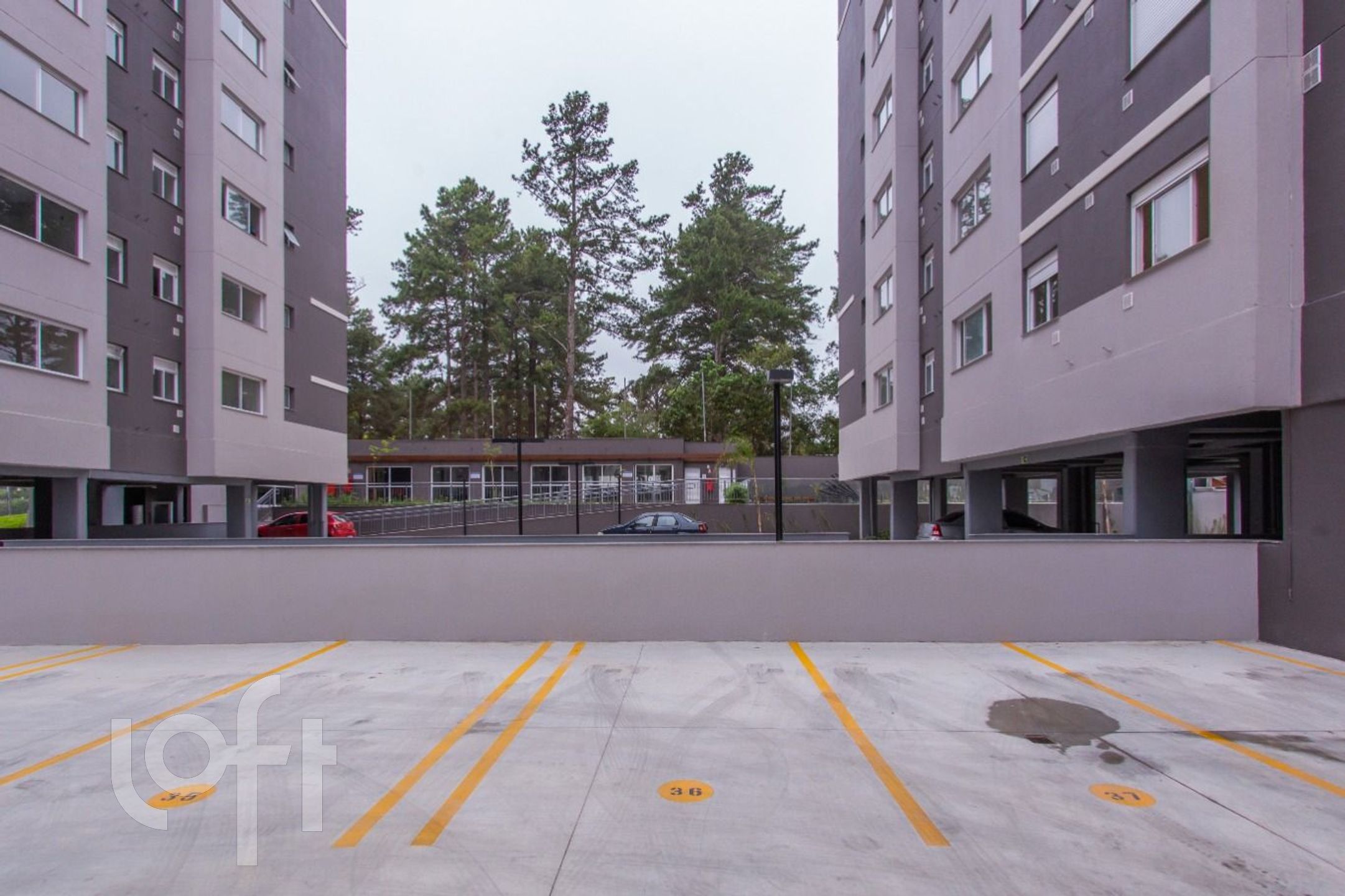 Imagem da propriedade 16