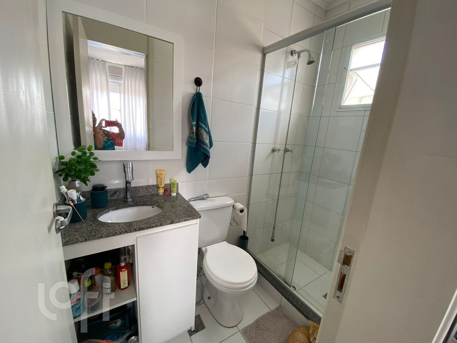 Imagem da propriedade 31