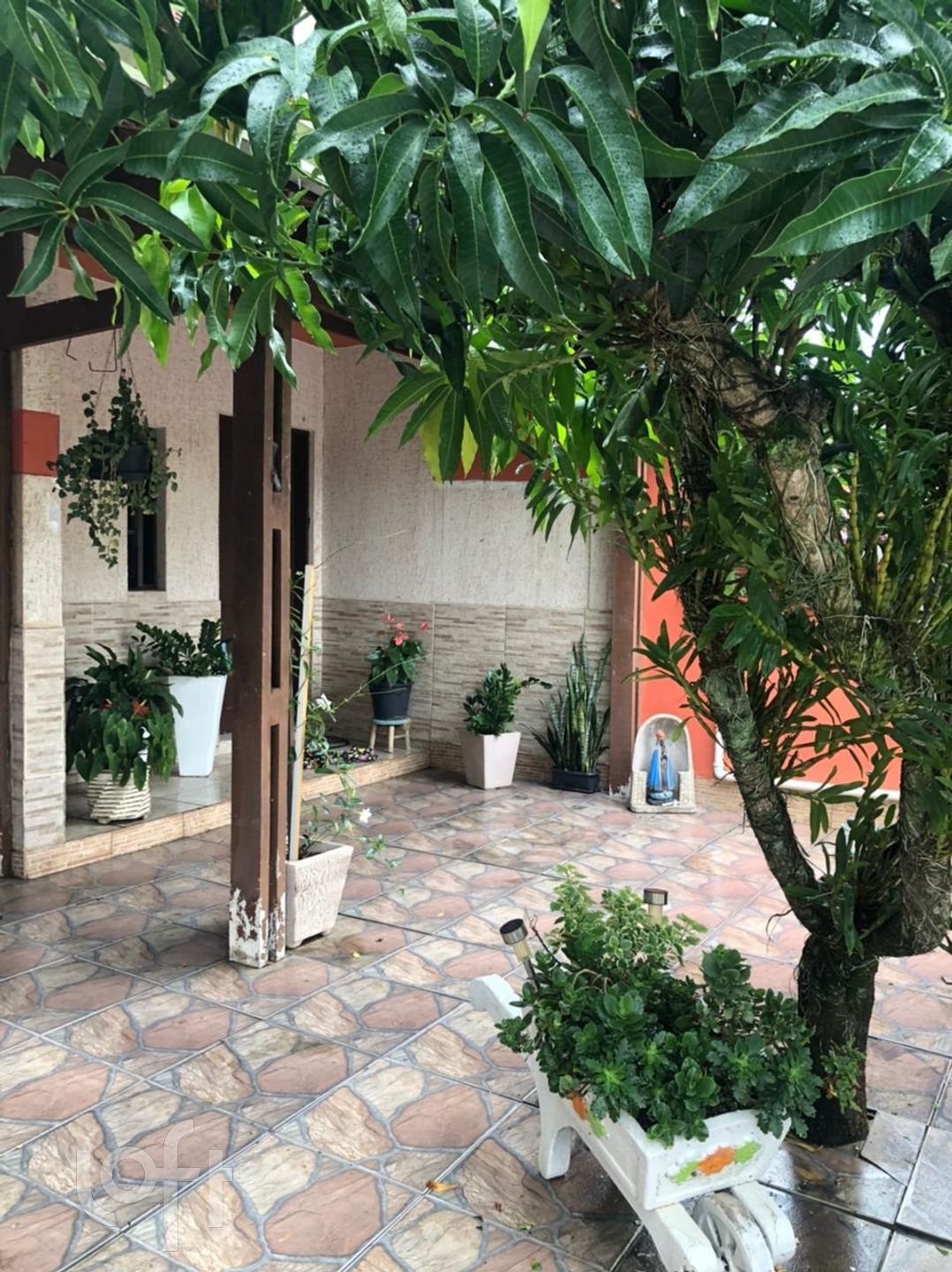 Imagem da propriedade 14