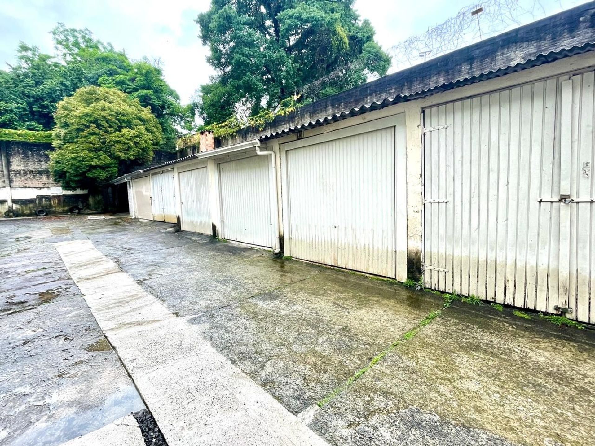 Imagem da propriedade 31