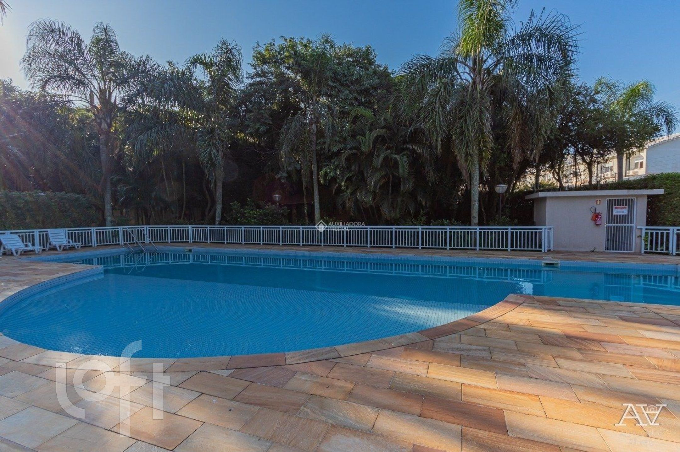 Imagem da propriedade 31