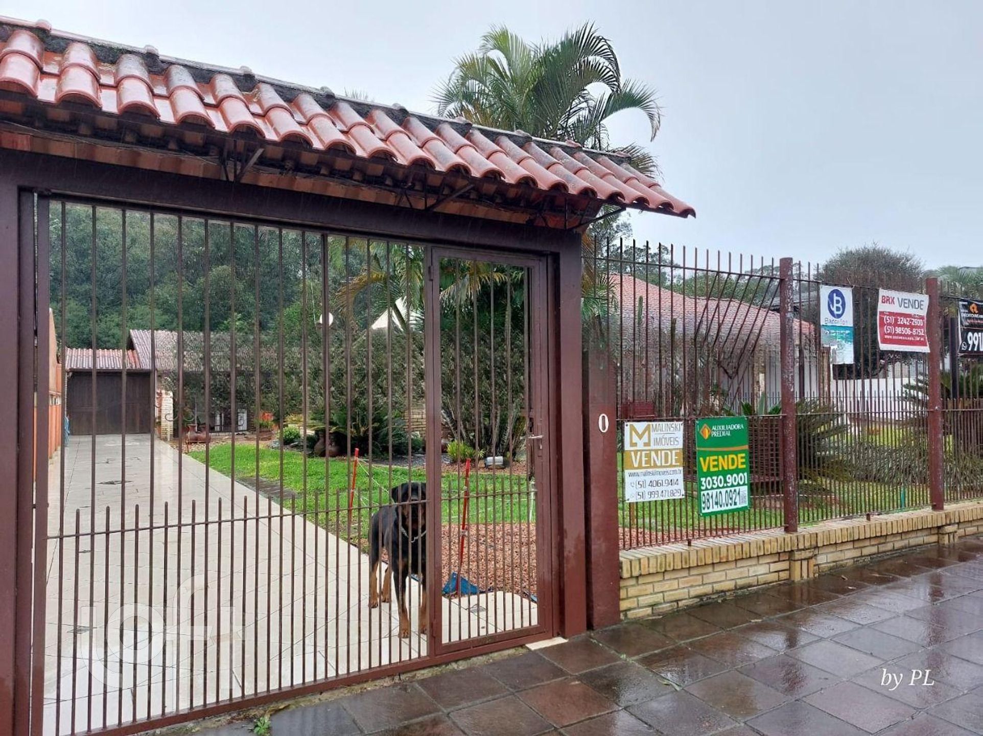 Imagem da propriedade 25