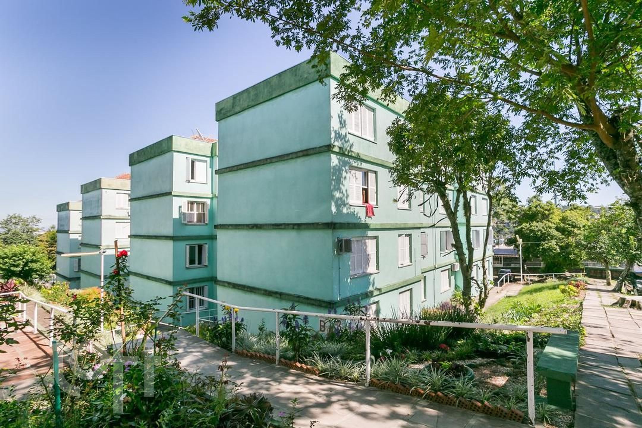 Imagem da propriedade 3