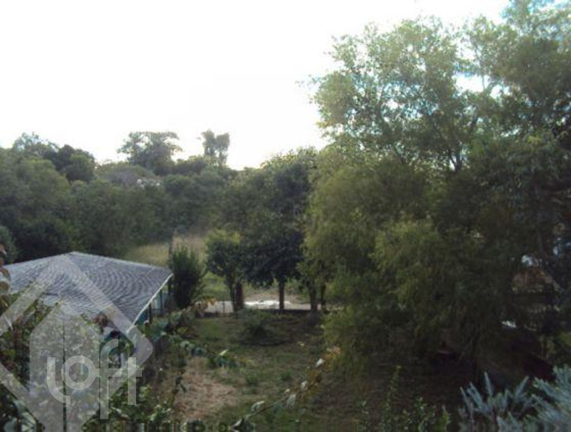 Imagem da propriedade 27