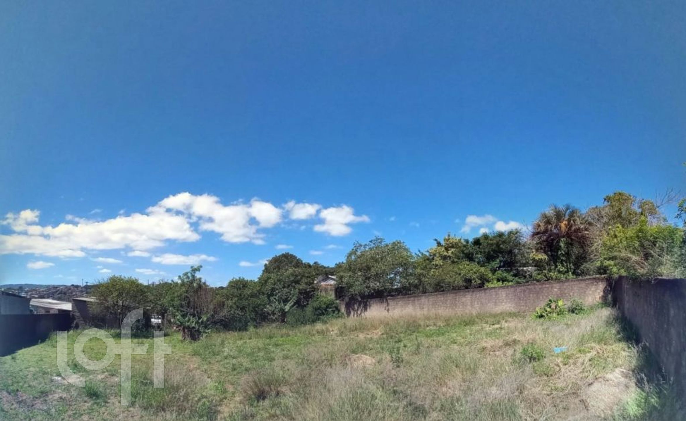 Imagem da propriedade 9