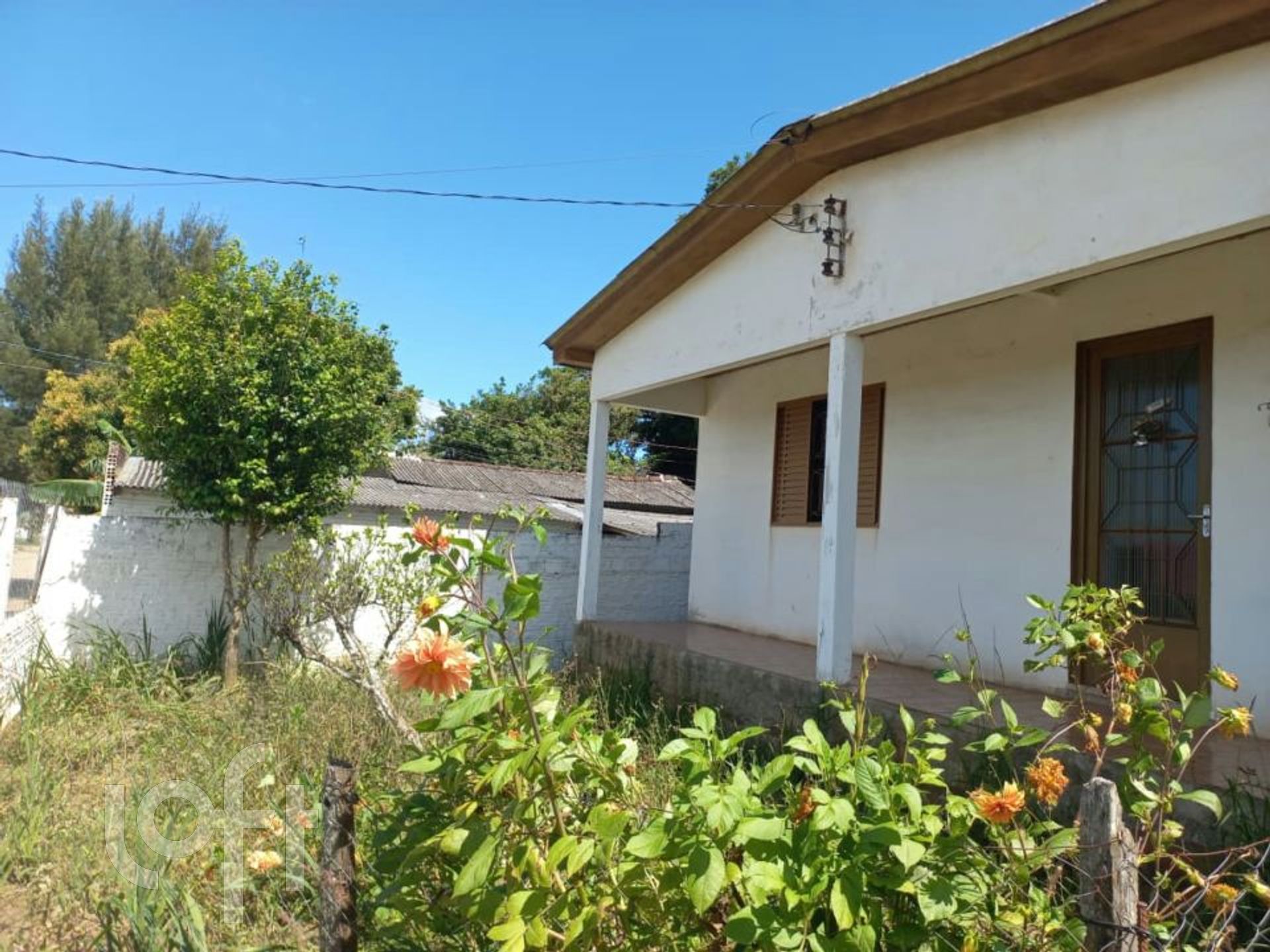 Imagem da propriedade 3